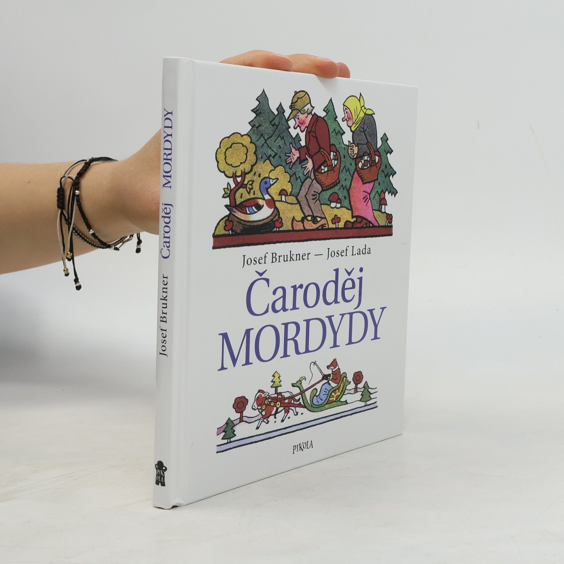 Čaroděj Mordydy