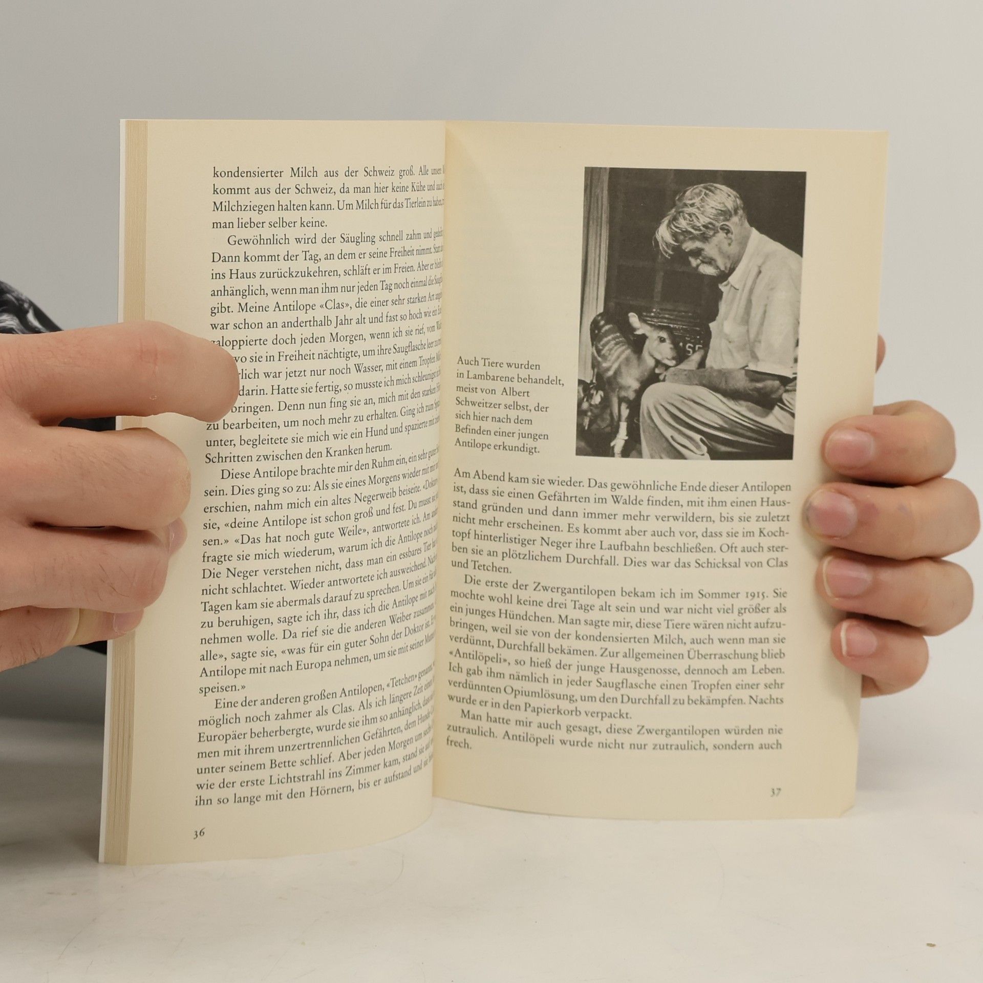 Albert Schweitzer Beck'sche Reihe: Ehrfurcht vor den Tieren