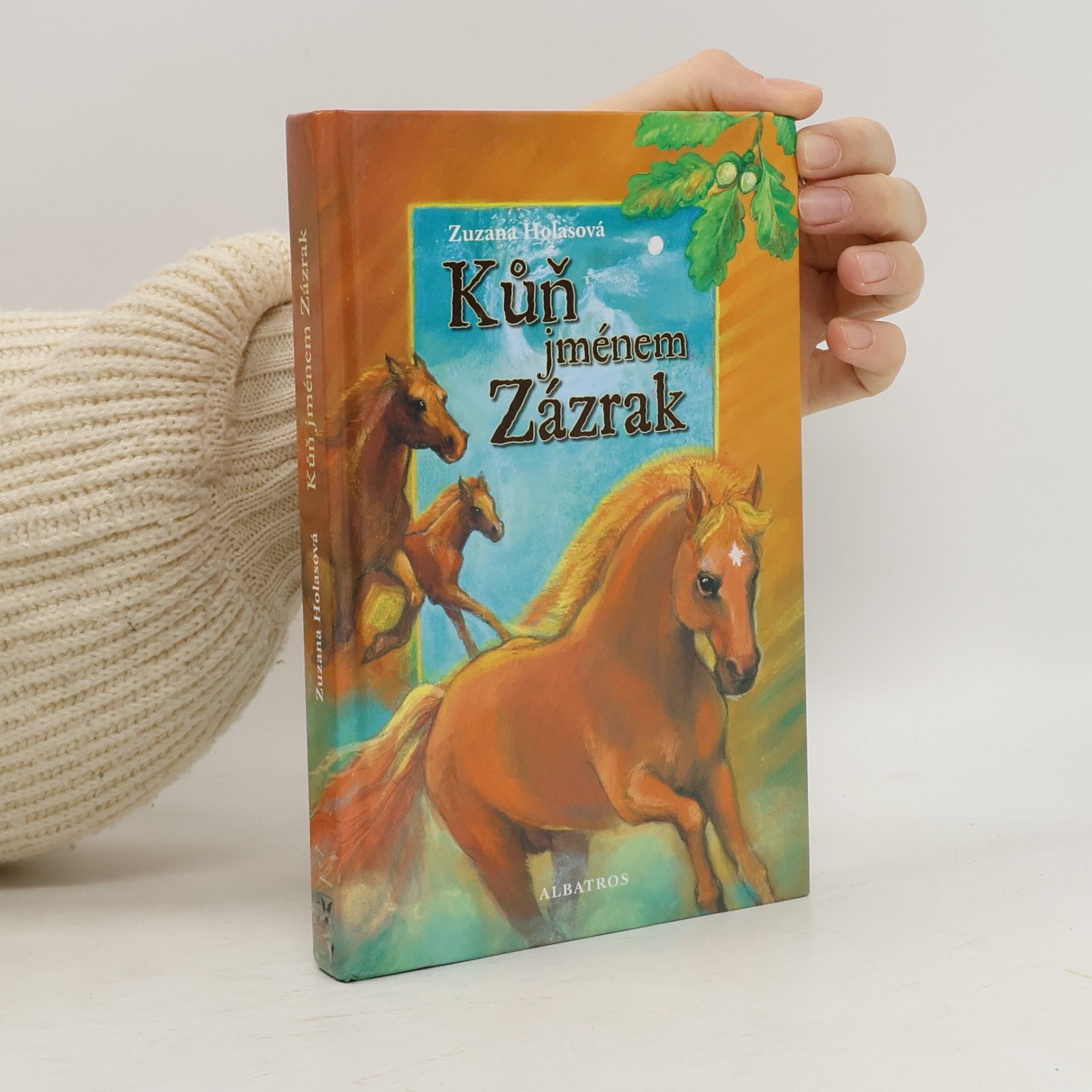 Zuzana Holasova Kůň jménem Zázrak