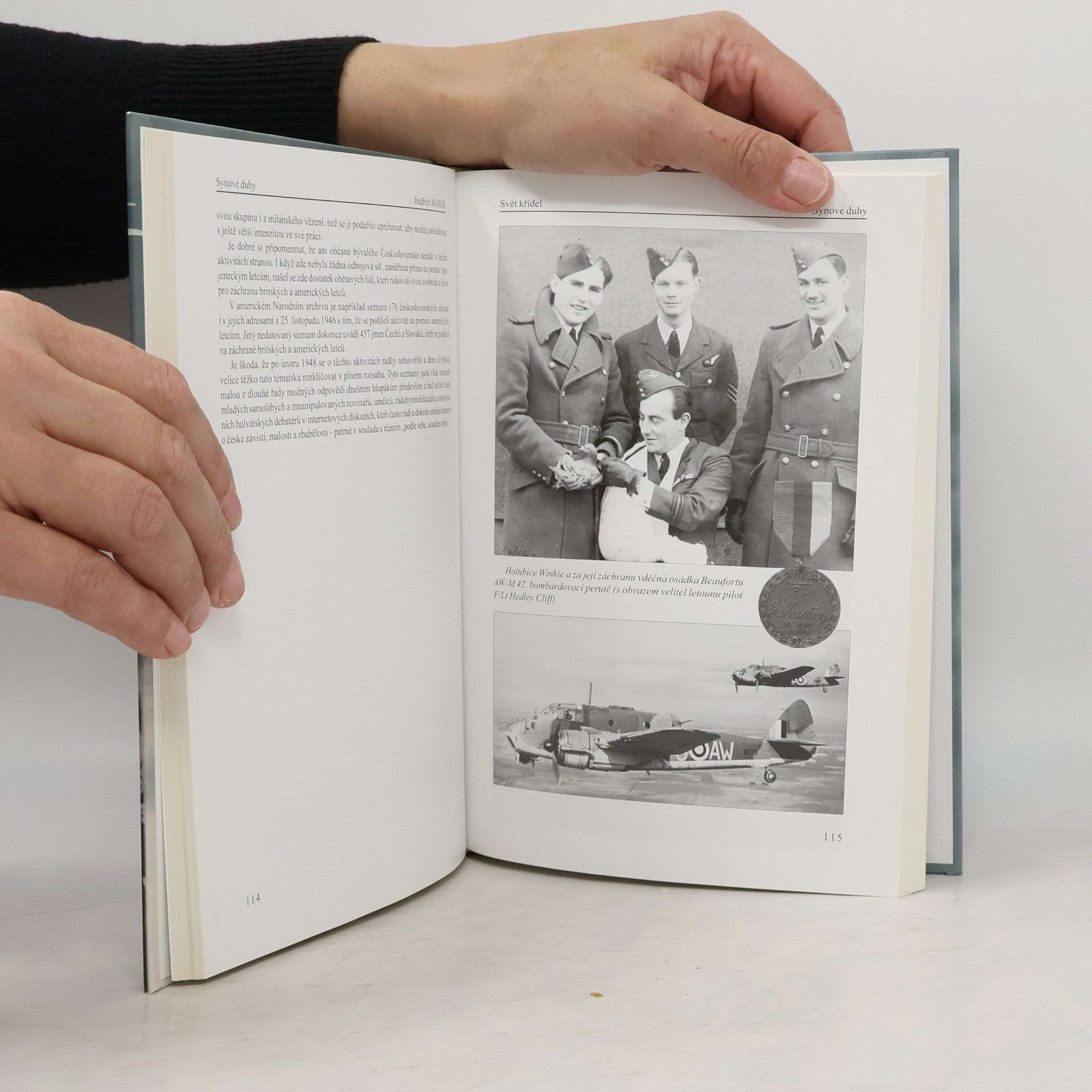 Jindřich Marek Synové duhy : záchrana letců RAF v kritických situacích 1940-1945
