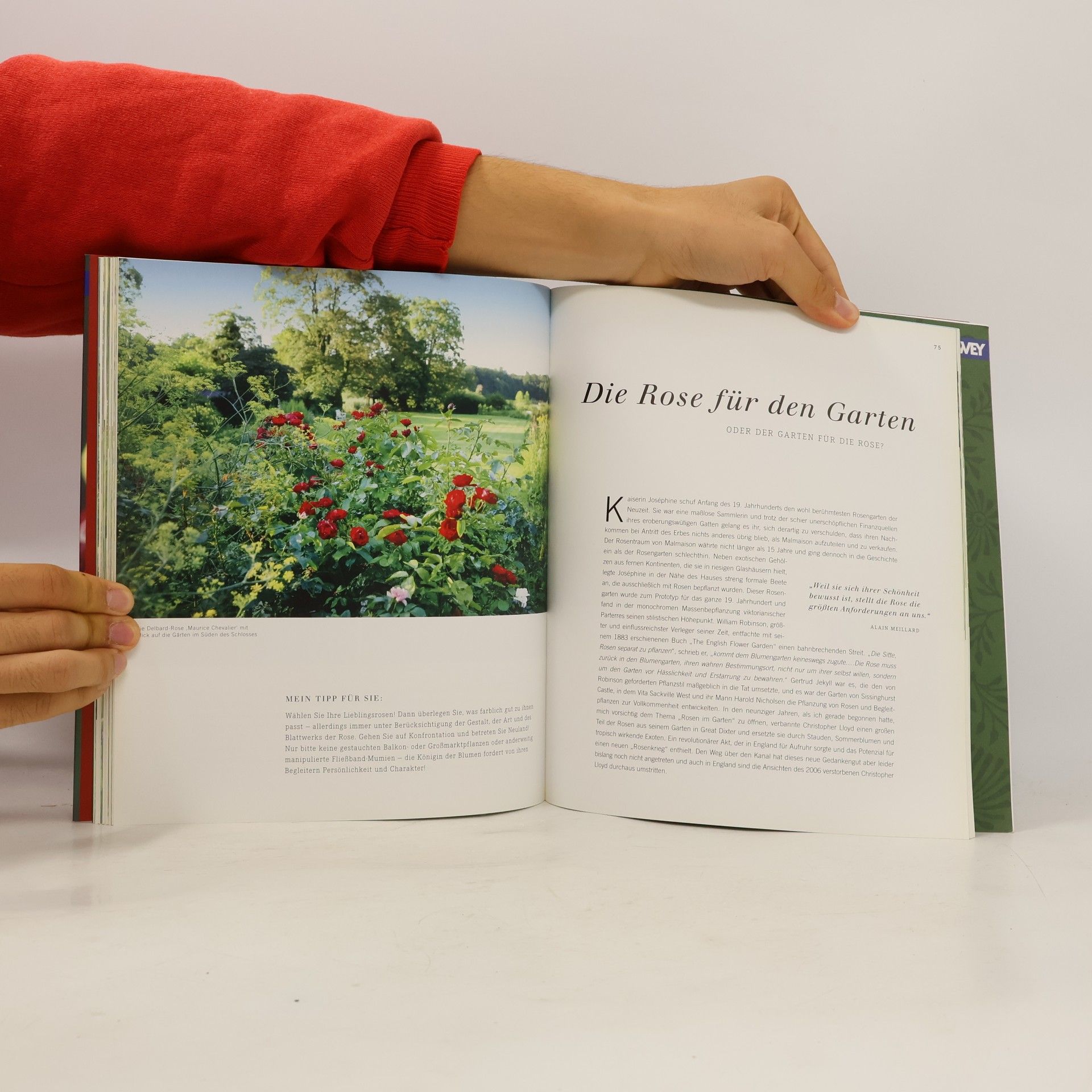 Viktoria Bussche Gartenlust & Leidenschaft
