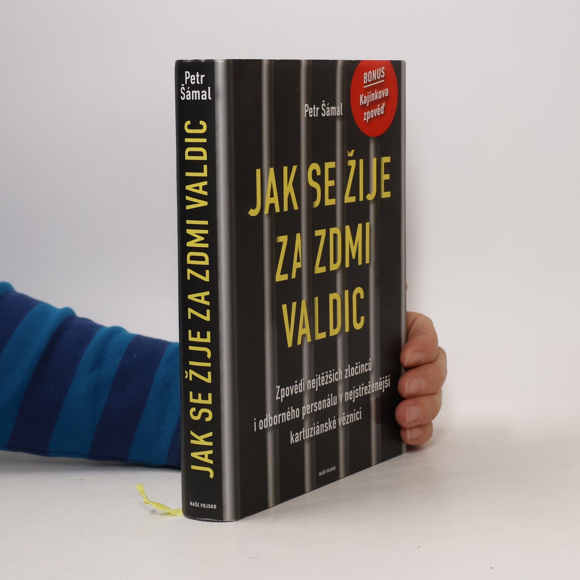 Jak se žije za zdmi Valdic: Zpovědi nejtěžších zločinců i odborného personálu v nejstřeženější kartuziánské věznici