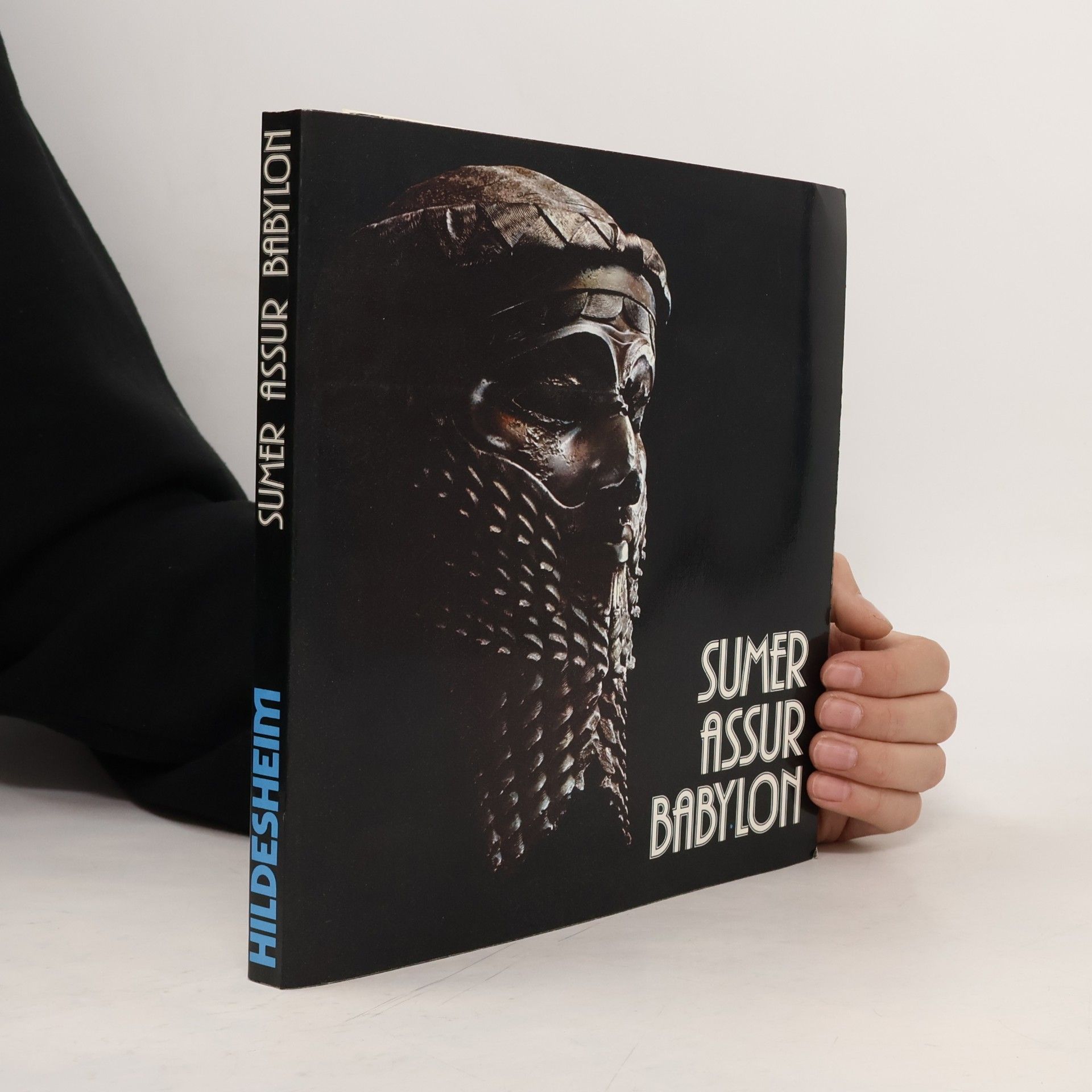 Rolf Schulte Sumer, Assur, Babylon : 7000 Jahre Kunst und Kultur zwischen Euphrat und Tigris