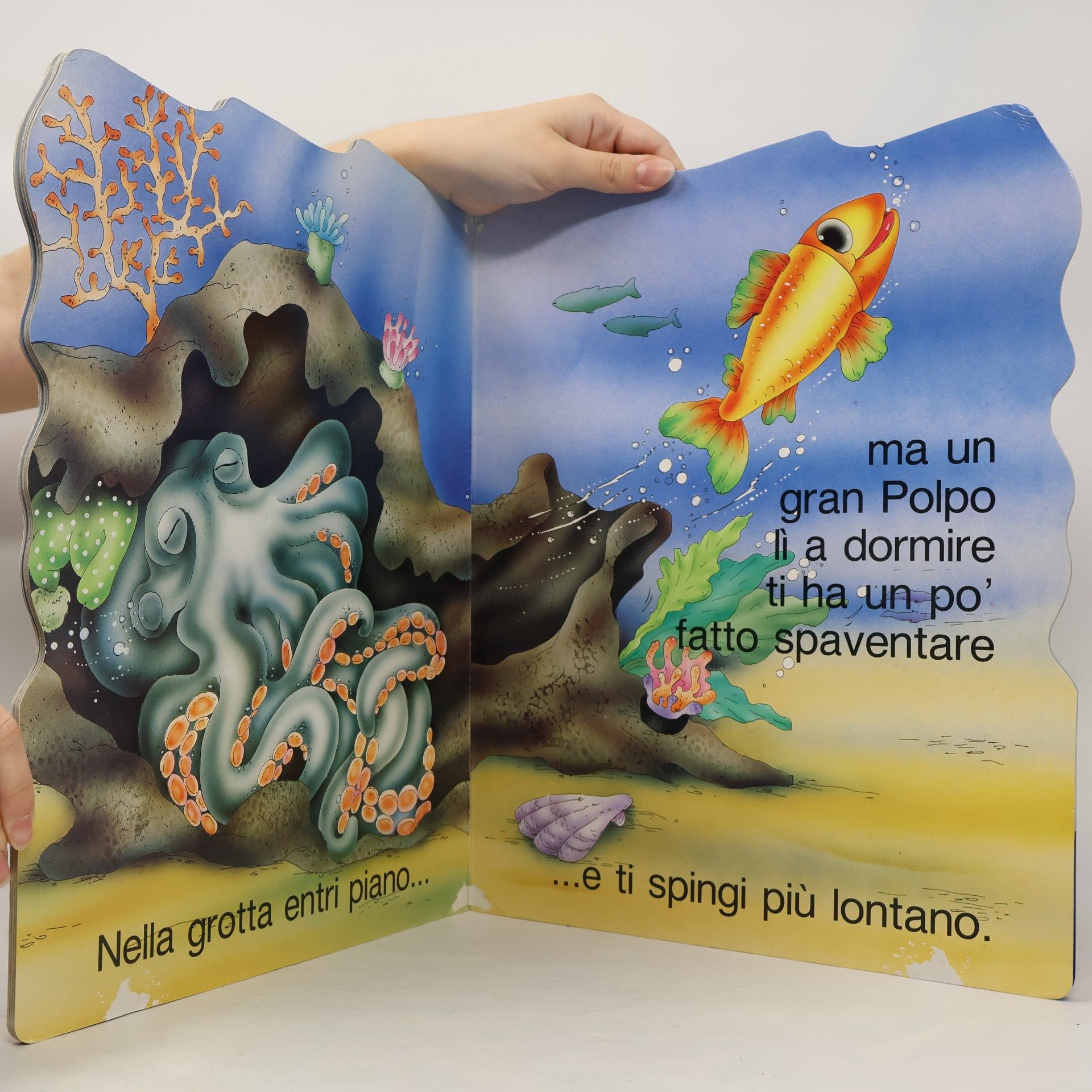 Andrea Di Salvo Pescio Lino e la scogliera