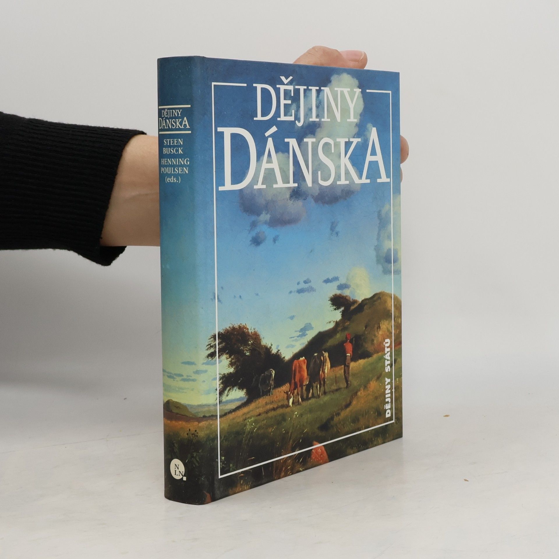 Steen Busck Dějiny Dánska