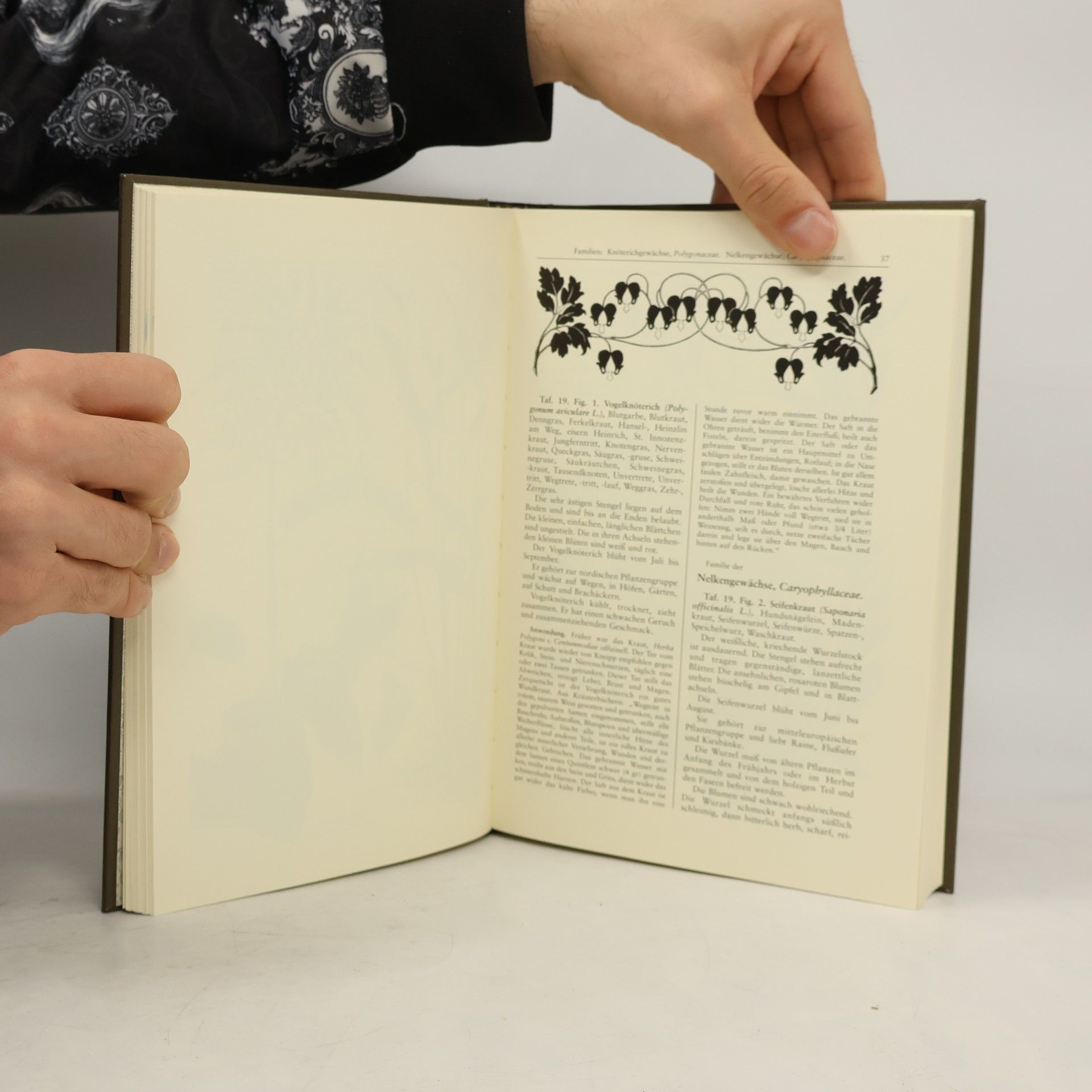 Friedrich Losch Kräuterbuch.