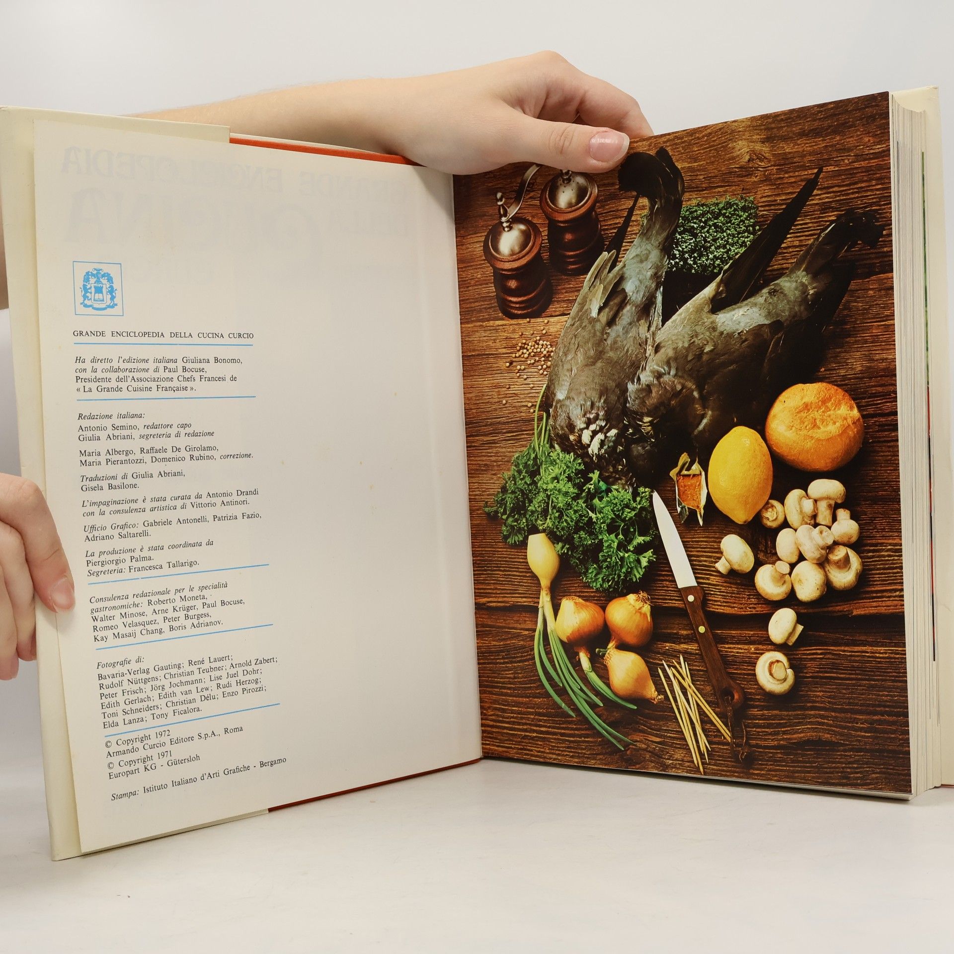 Kolektiv autorů Grande enciclopedia della cucina Curcio 5