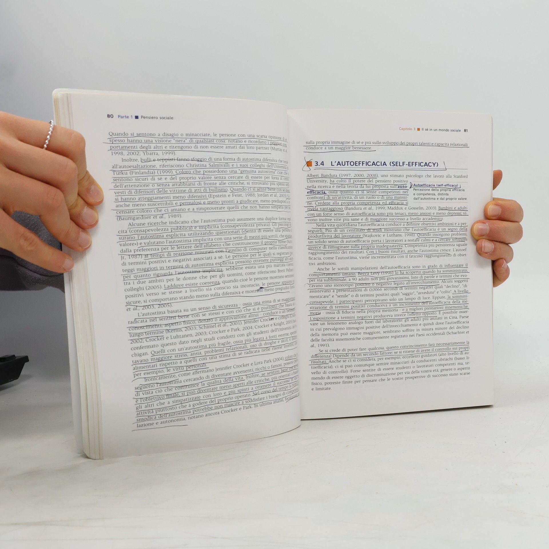 David G. Myers Psicologia sociale. Con connet - IV edizione