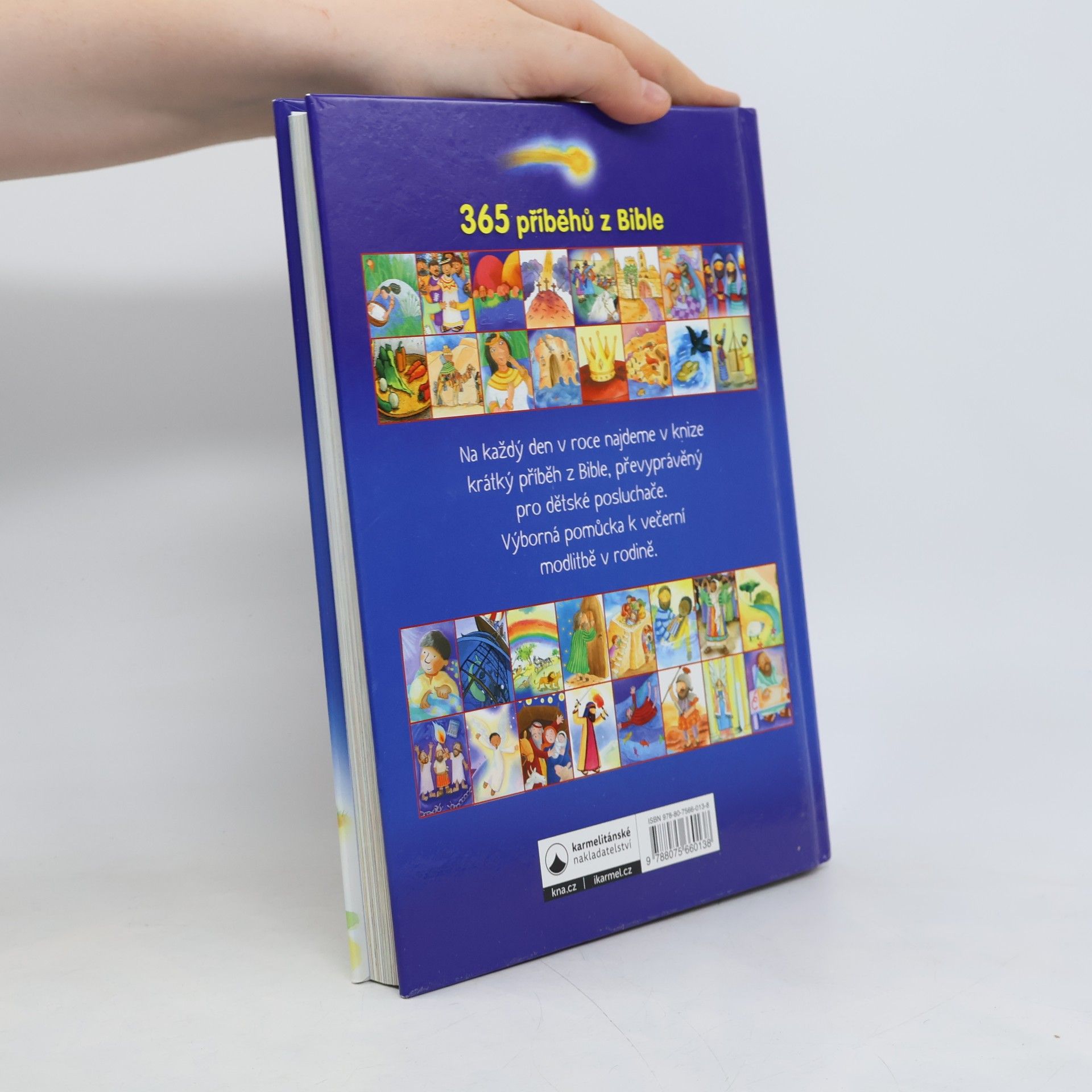 Sally Ann Wright 365 příběhů z Bible