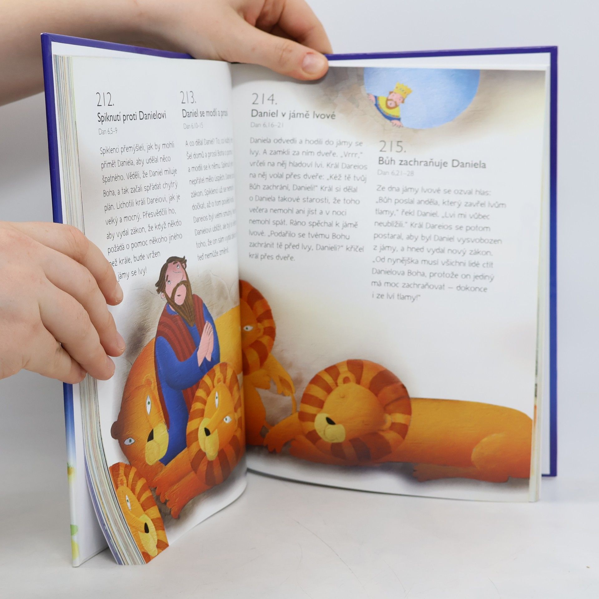 Sally Ann Wright 365 příběhů z Bible