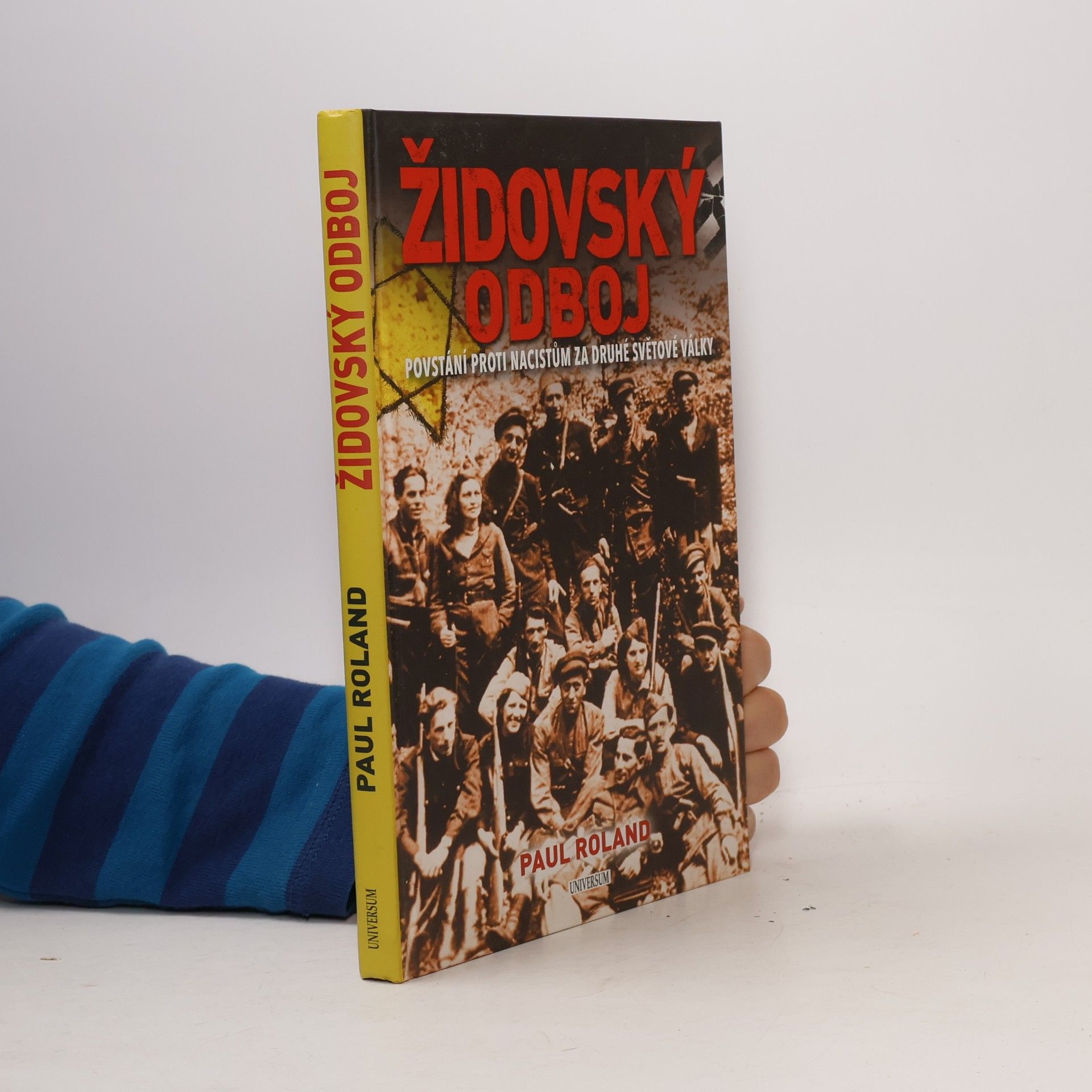 Paul Roland Židovský odboj: Povstání proti nacistům za druhé světové války