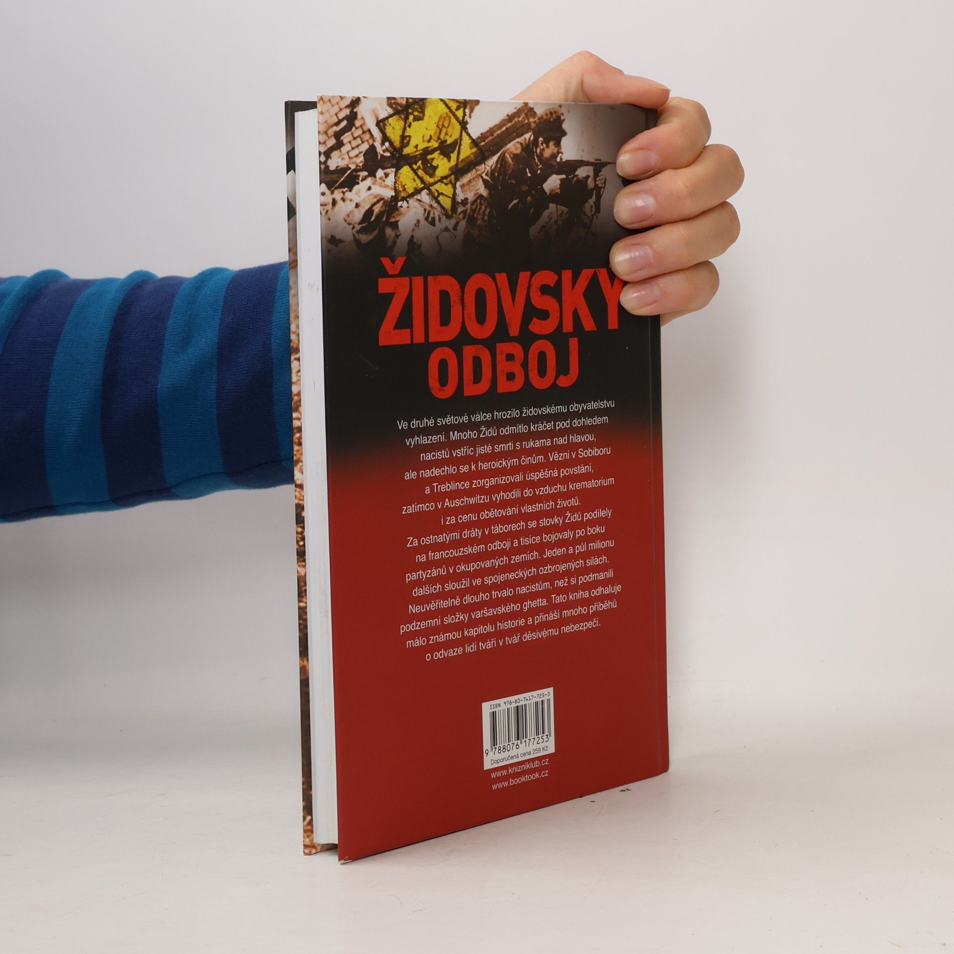 Paul Roland Židovský odboj: Povstání proti nacistům za druhé světové války