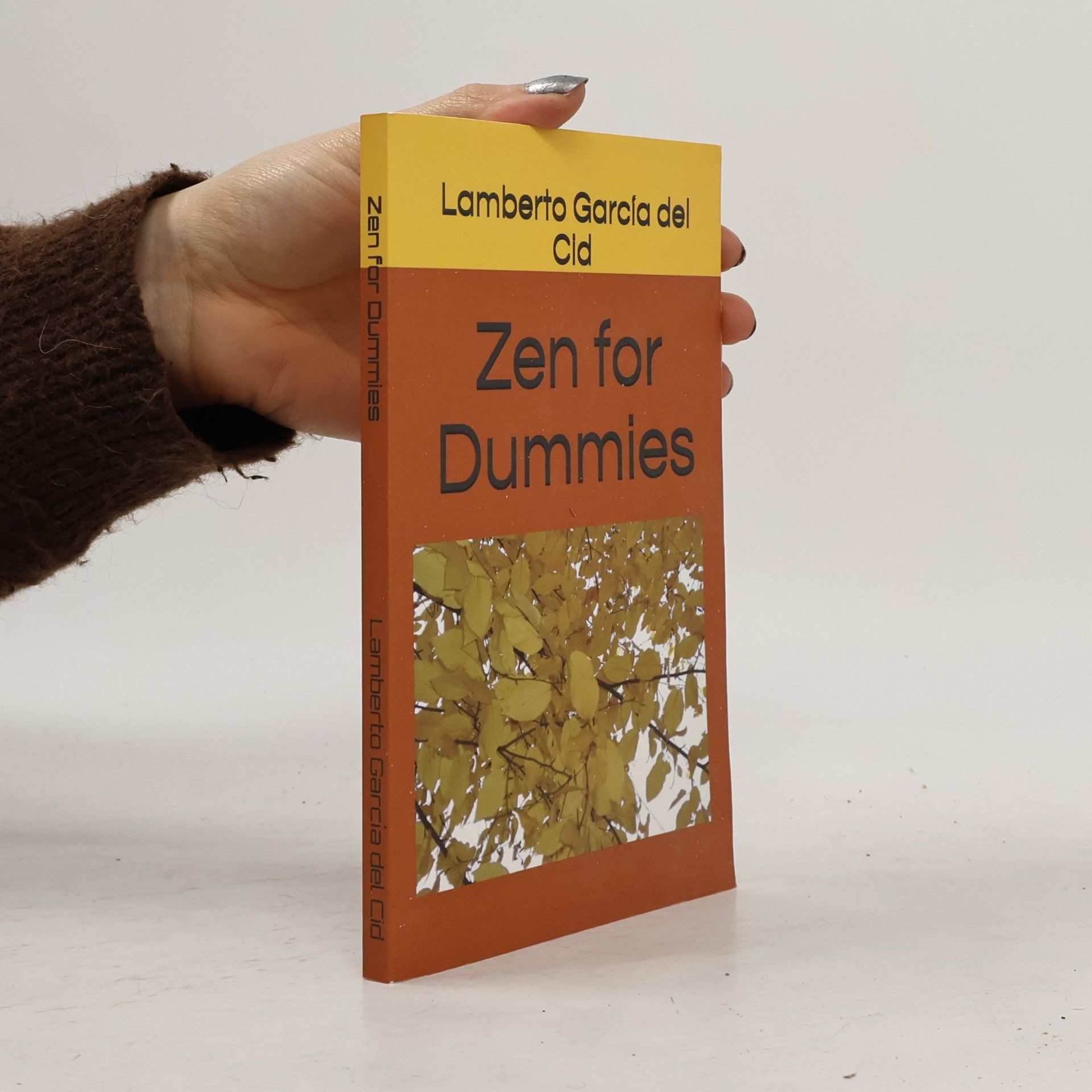 Zen for Dummies
