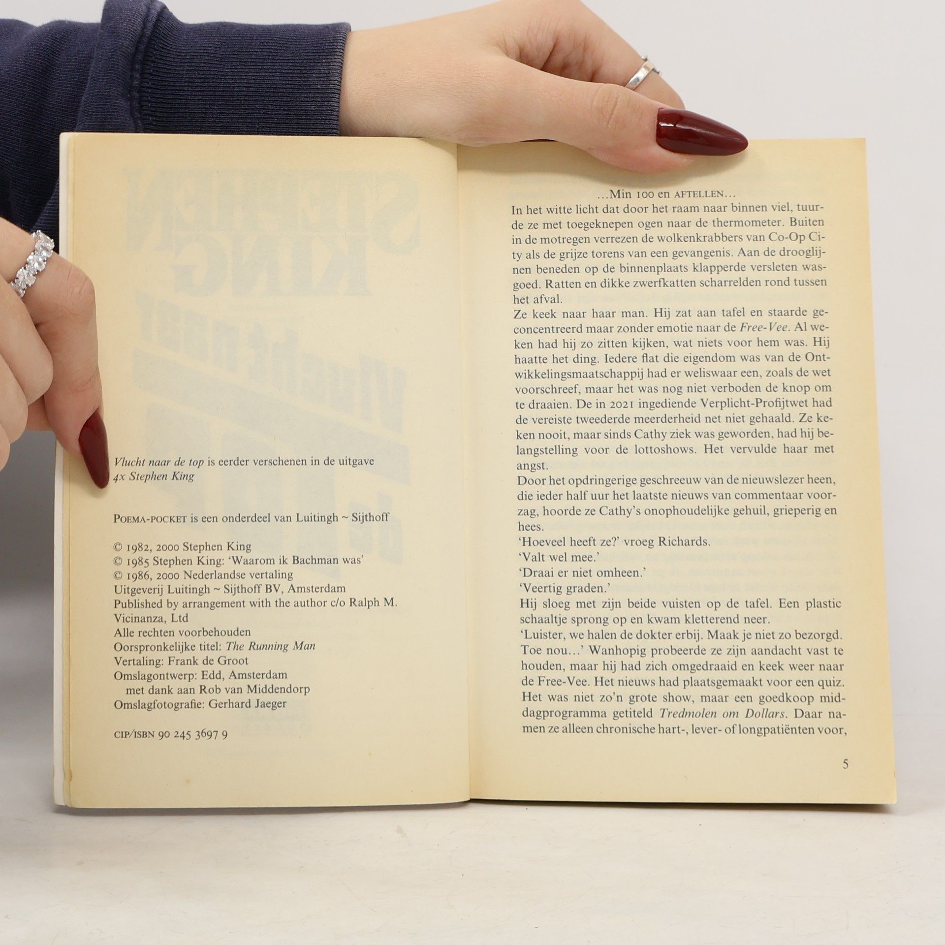 Stephen King Poema Pocket: Vlucht naar de Top