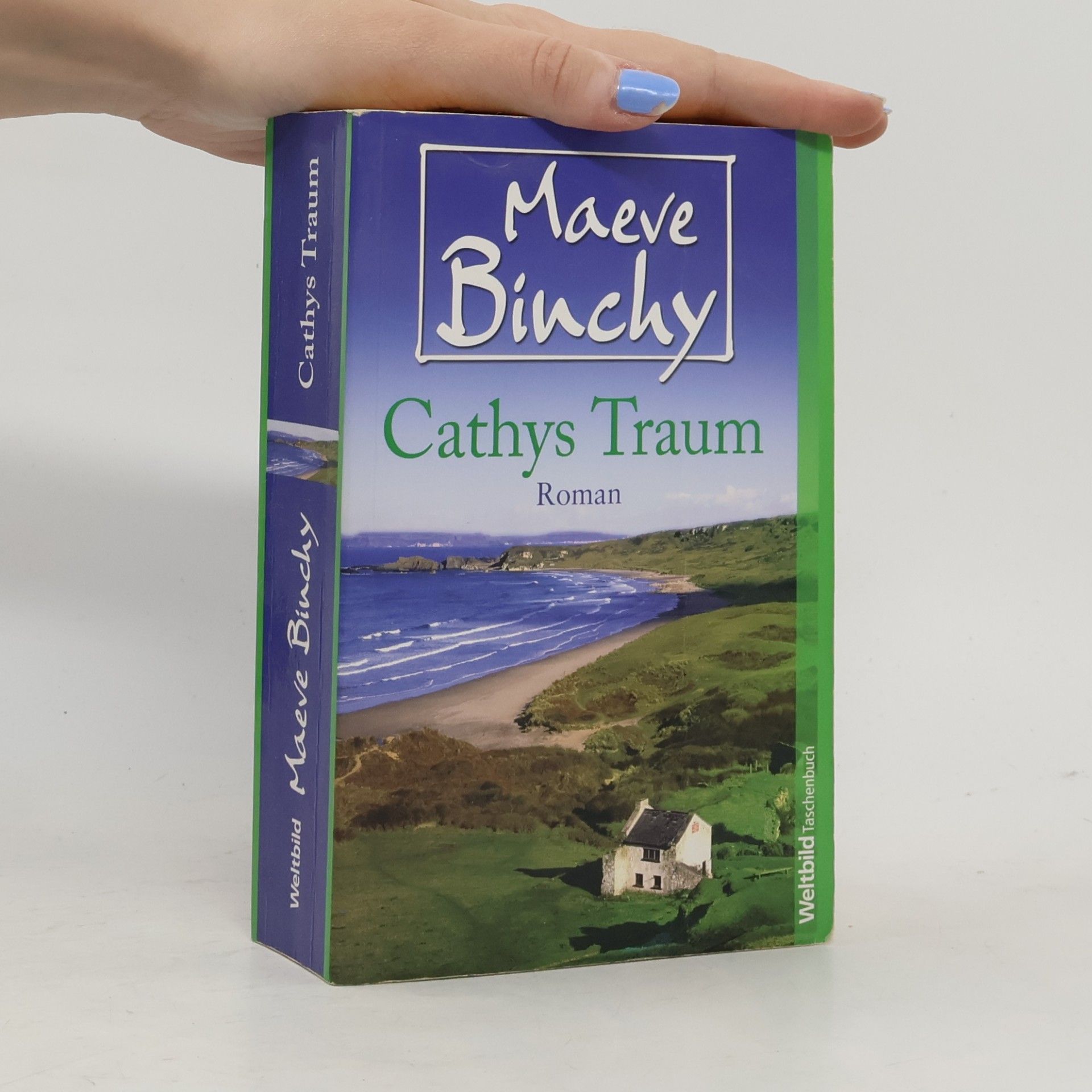 Maeve Binchy Cathys Traum