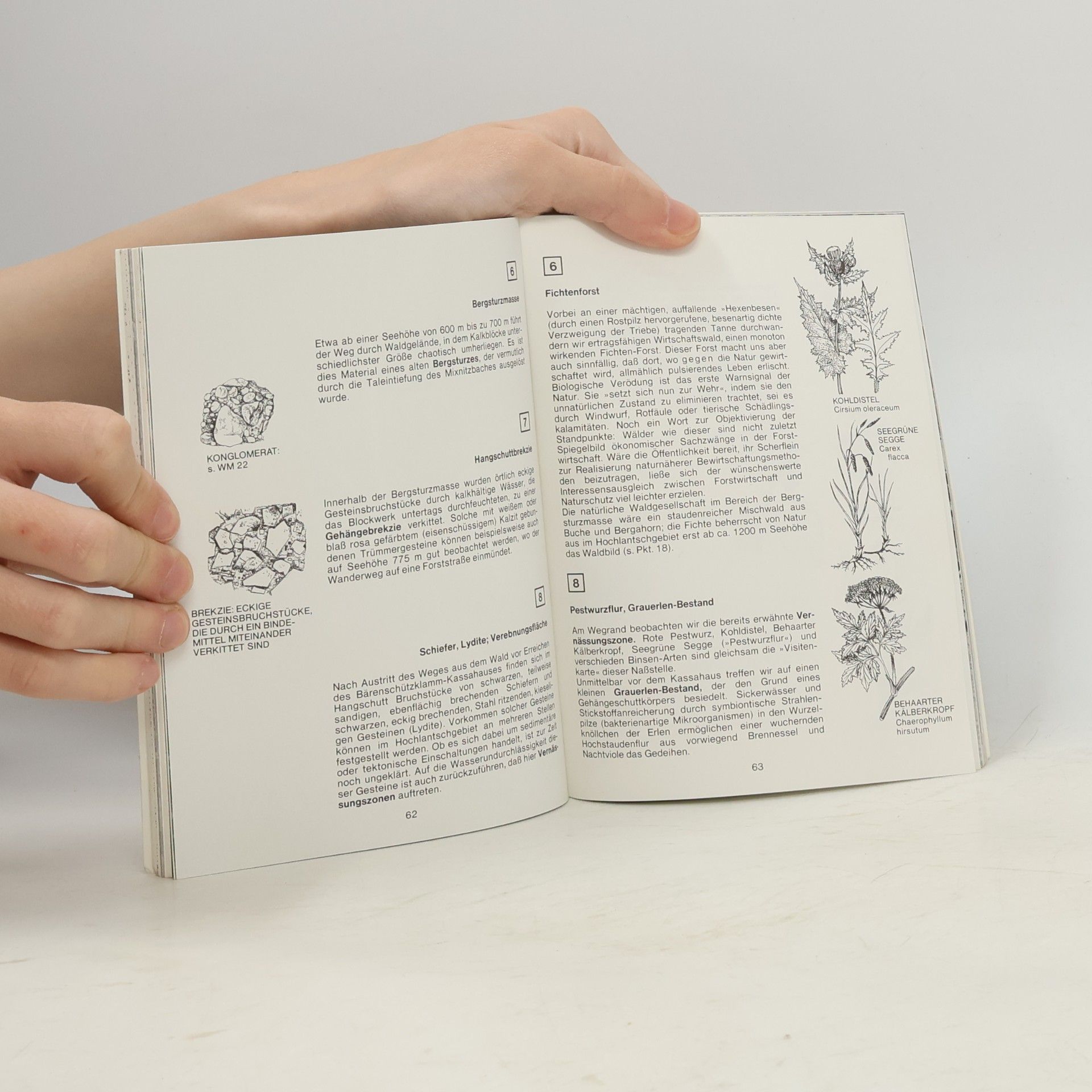 Various authors Naturführer Bärenschützklamm