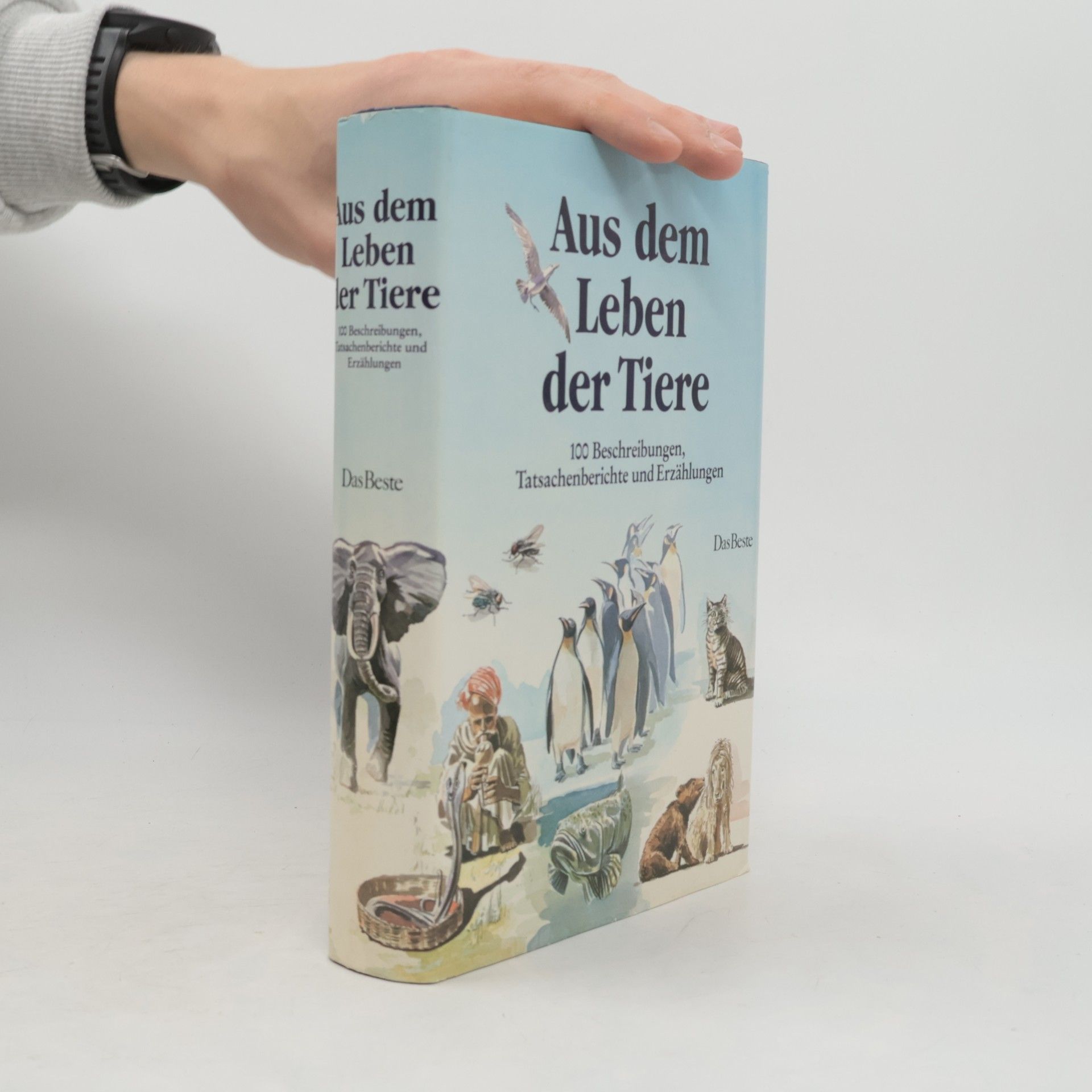 Autorenkollektiv Aus dem Leben der Tiere