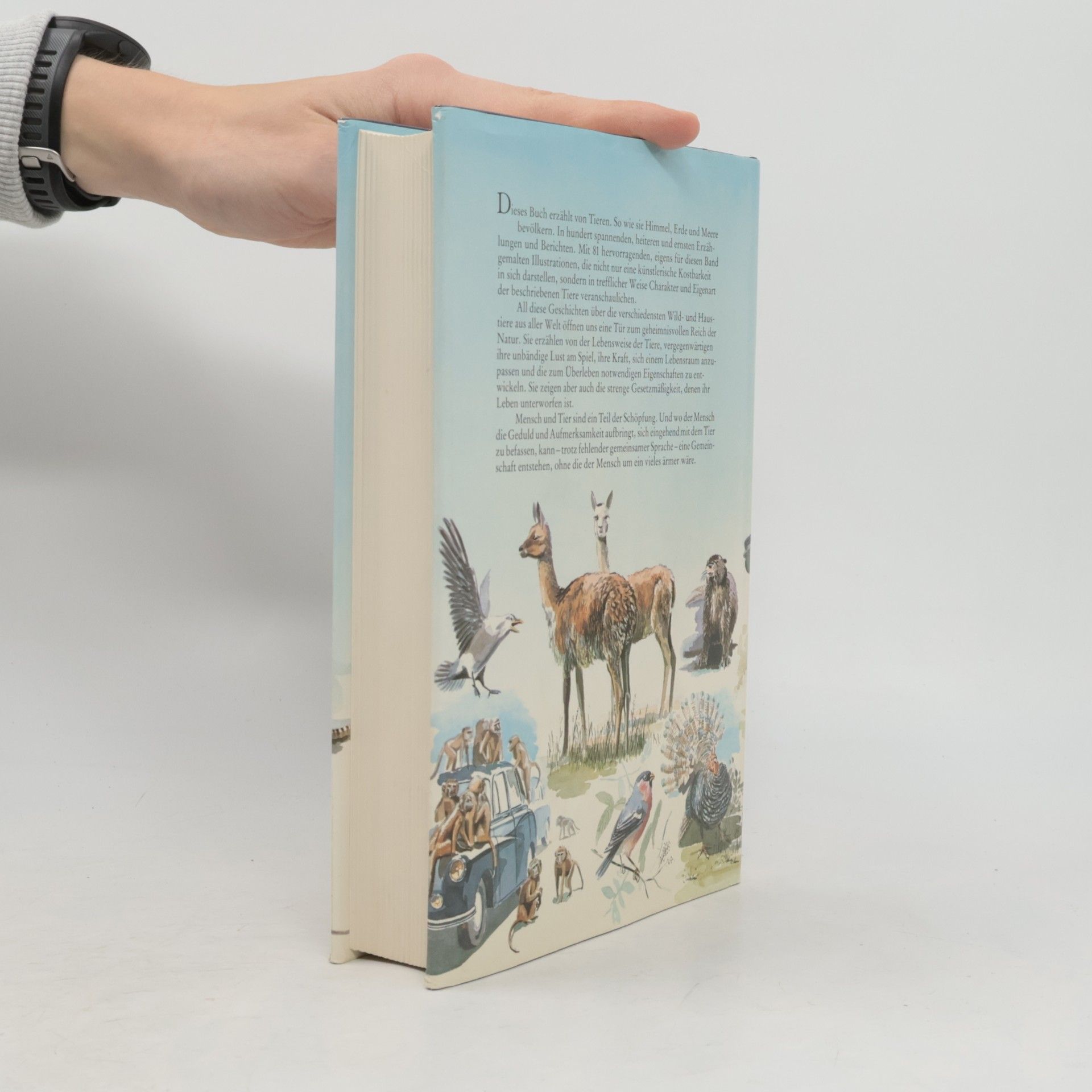 Autorenkollektiv Aus dem Leben der Tiere
