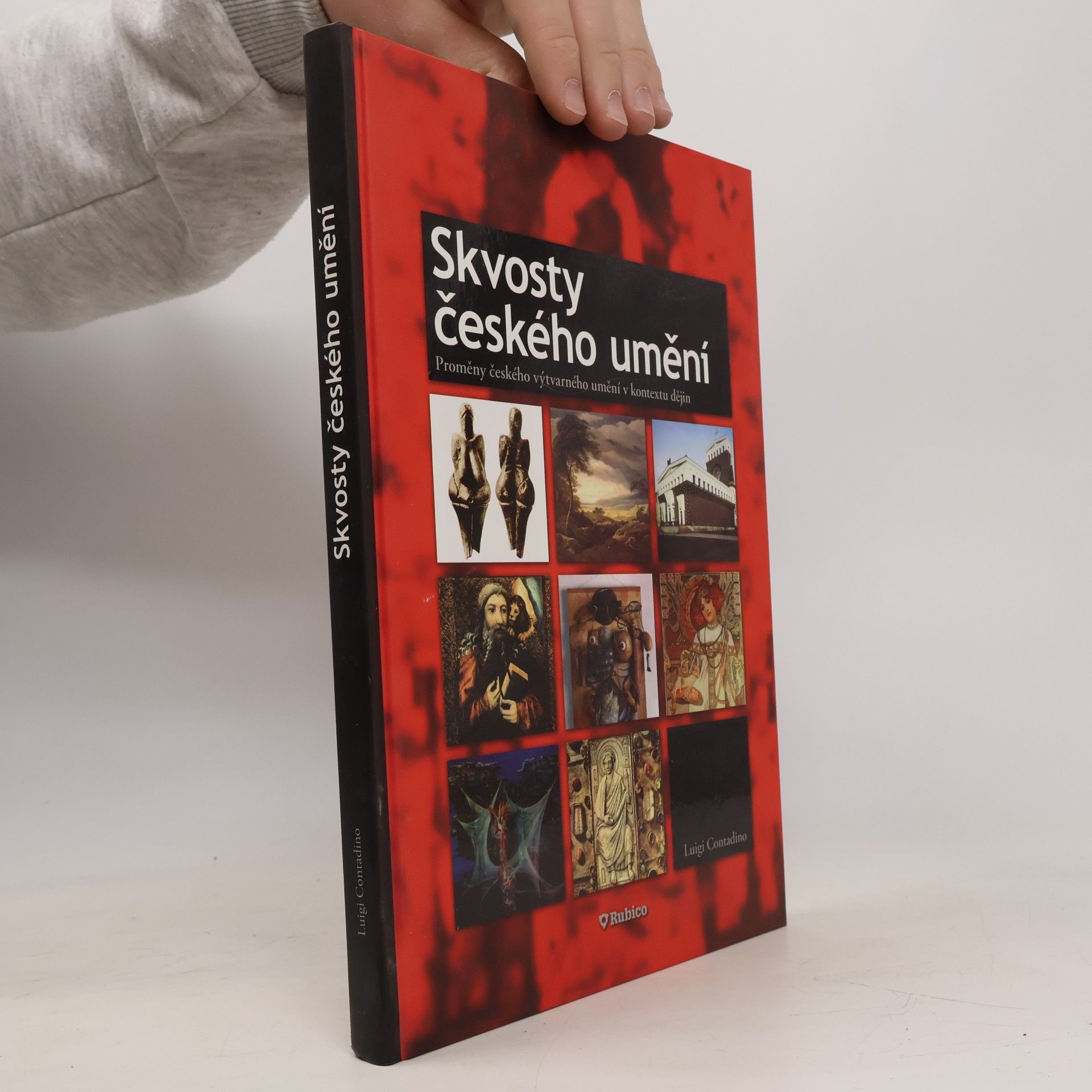 Luigi Contadino Skvosty českého umění : proměny českého výtvarného umění v kontextu dějin