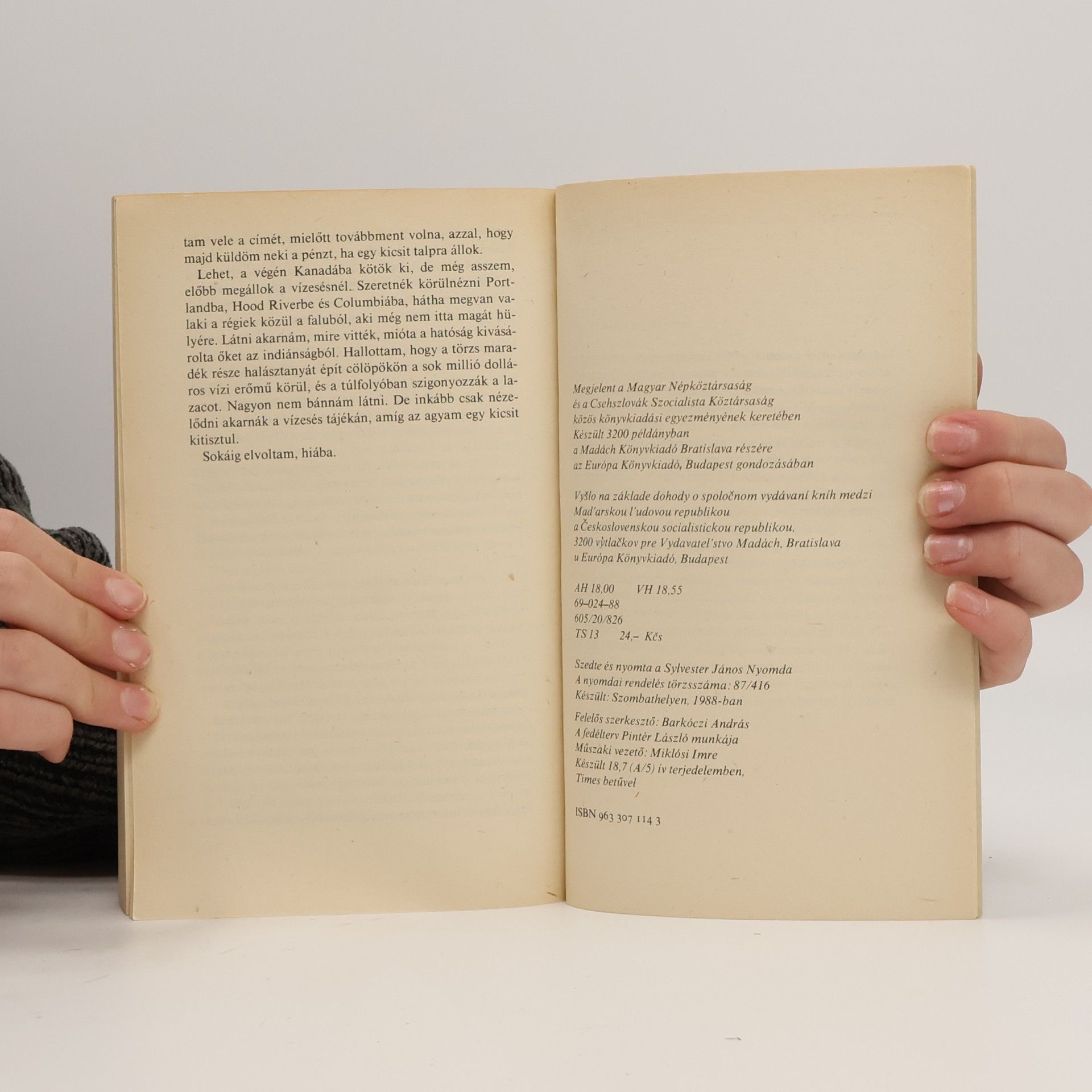 Ken Kesey Száll a kakukk fészkére