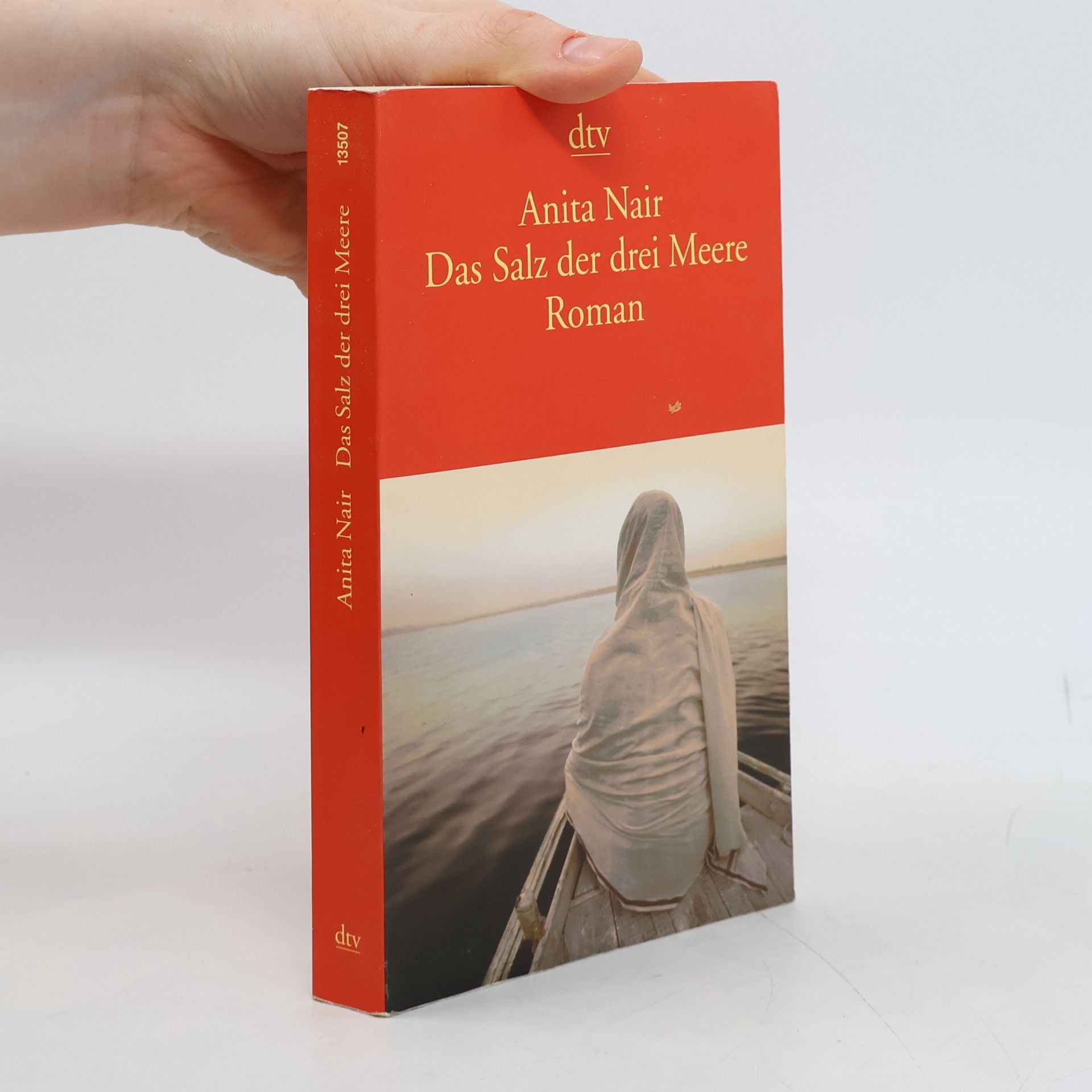Anita Nair Das Salz der drei Meere
