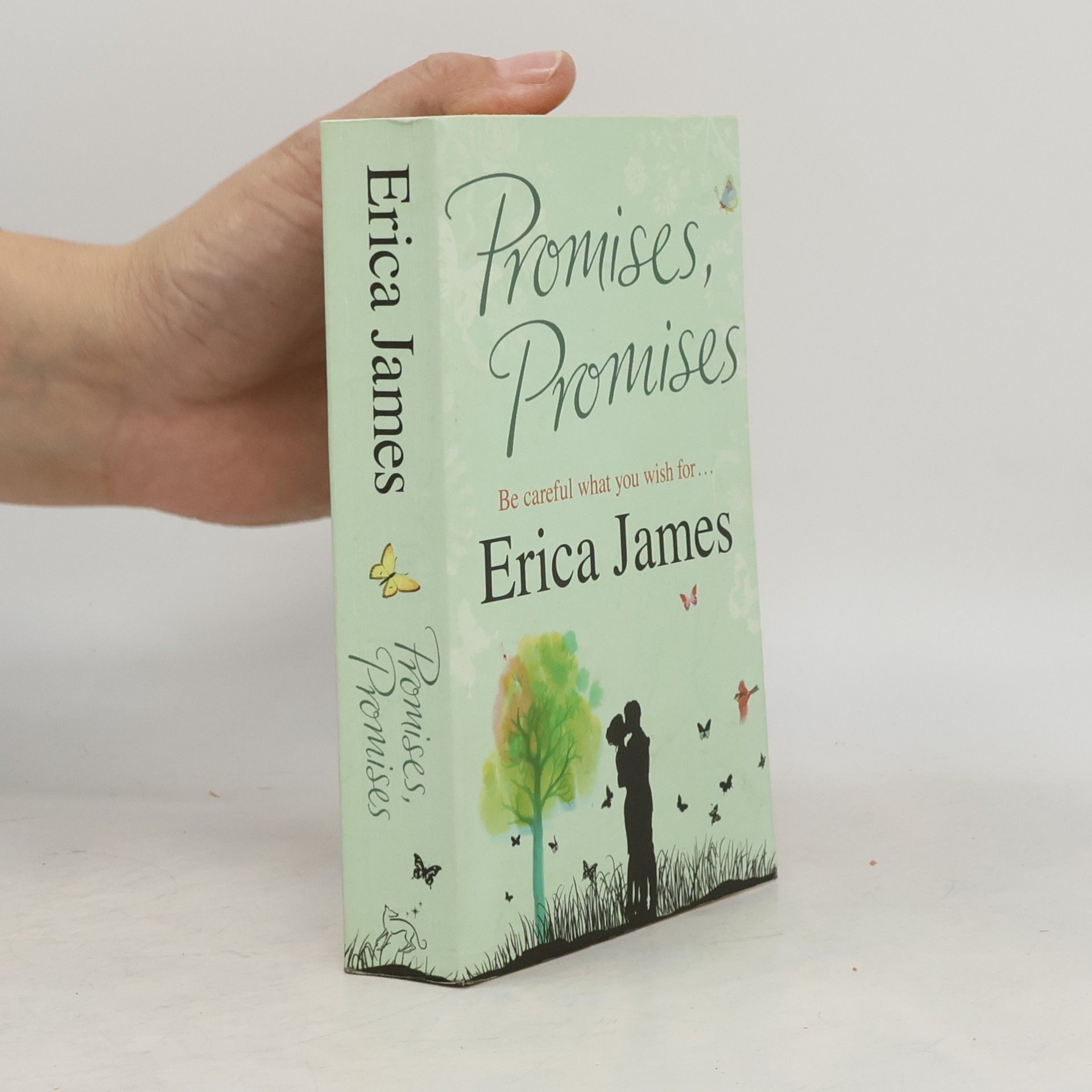 Erica James Promises, Promises