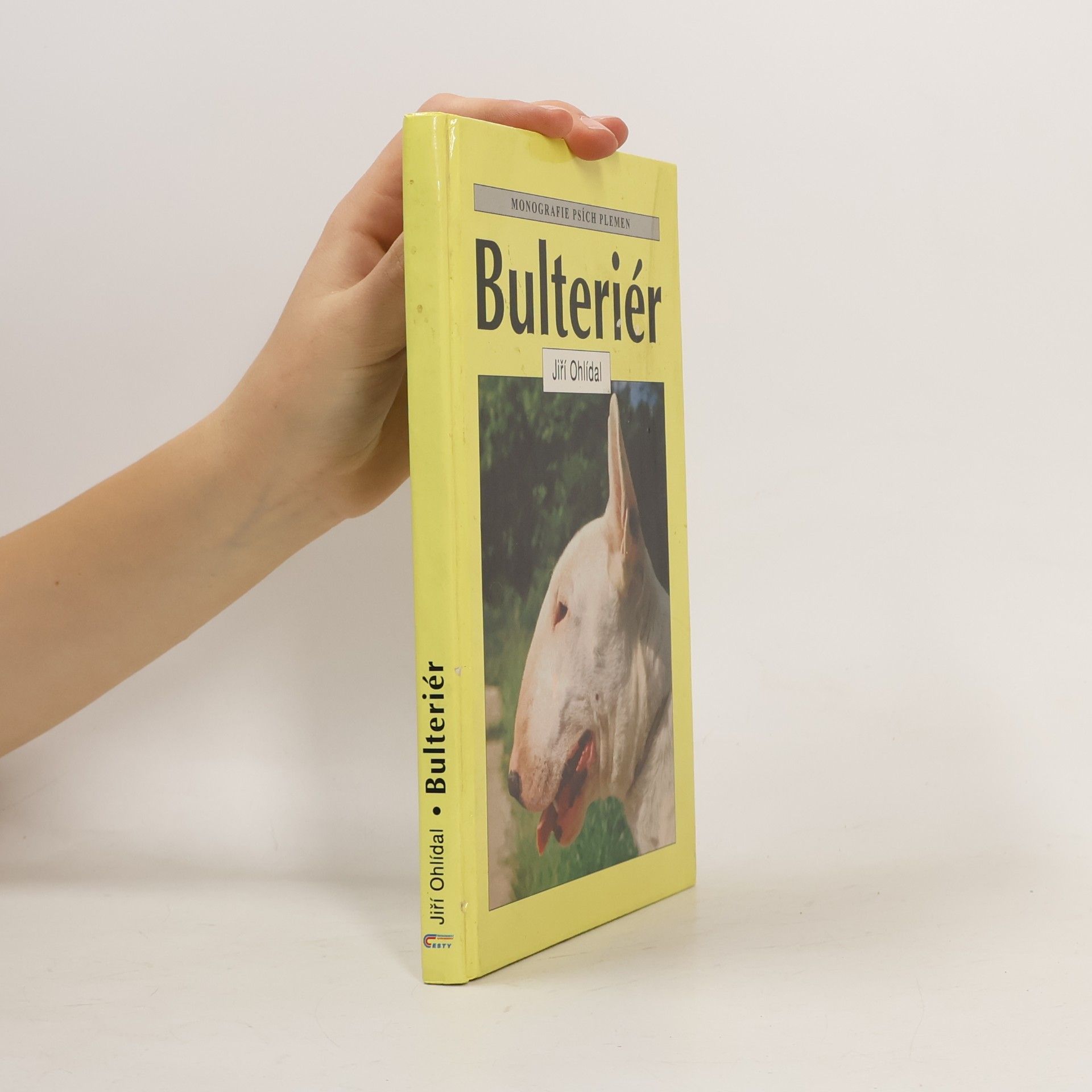 Bulteriér