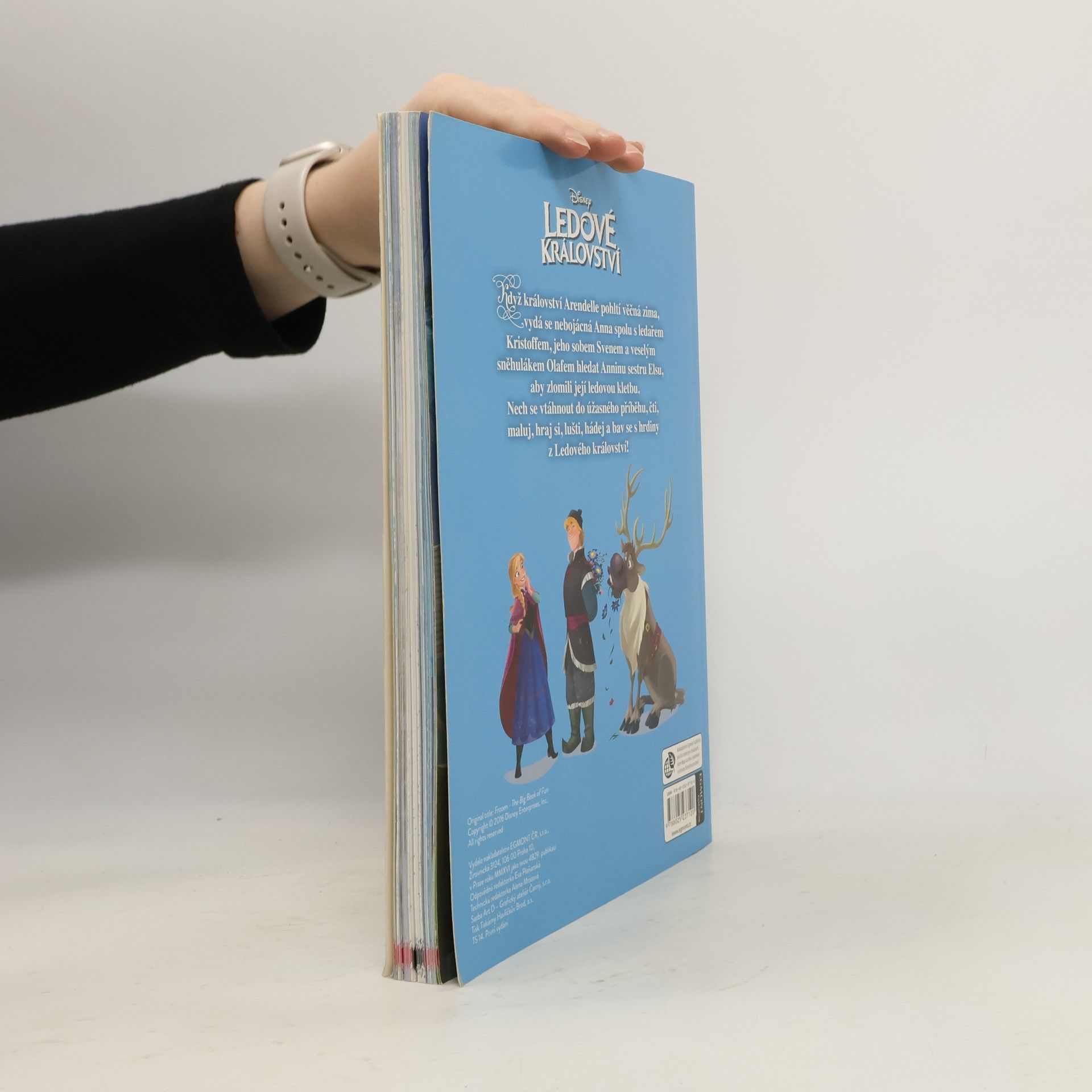 Various authors Ledové království. Velká kniha čtení a zábavy.
