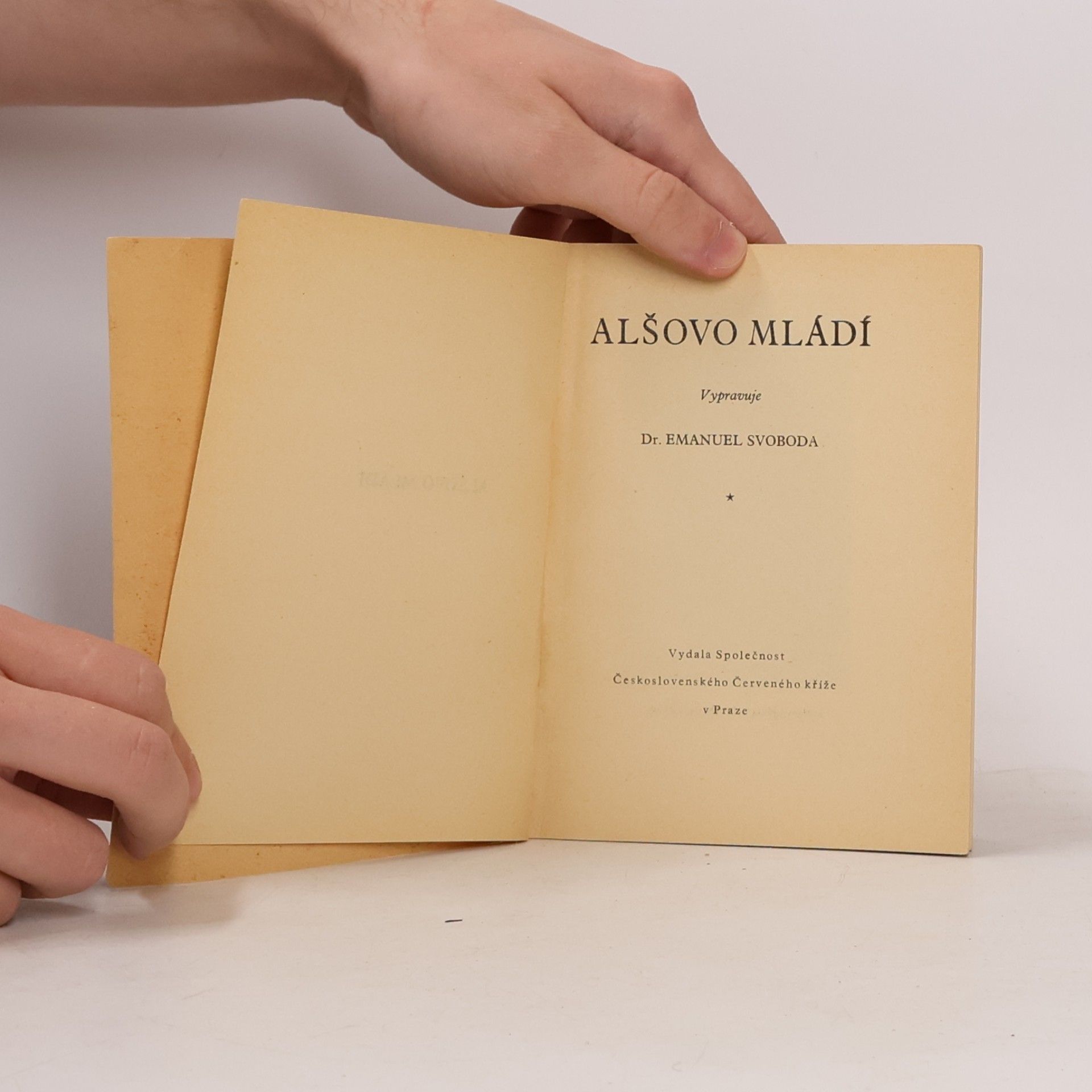 Emanuel Svoboda Alšovo mládí