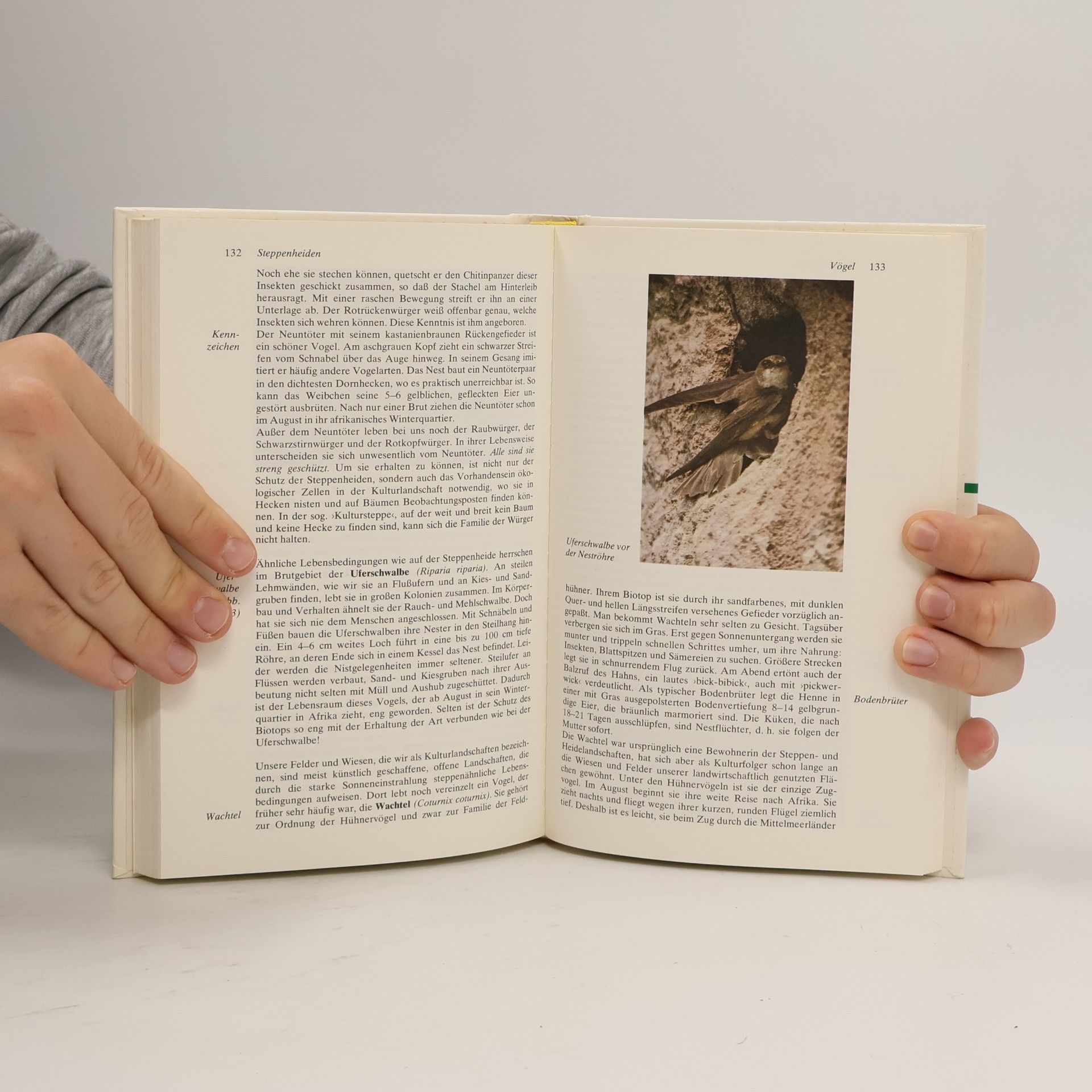 Fritz Lense Geschützte Pflanzen und Tiere