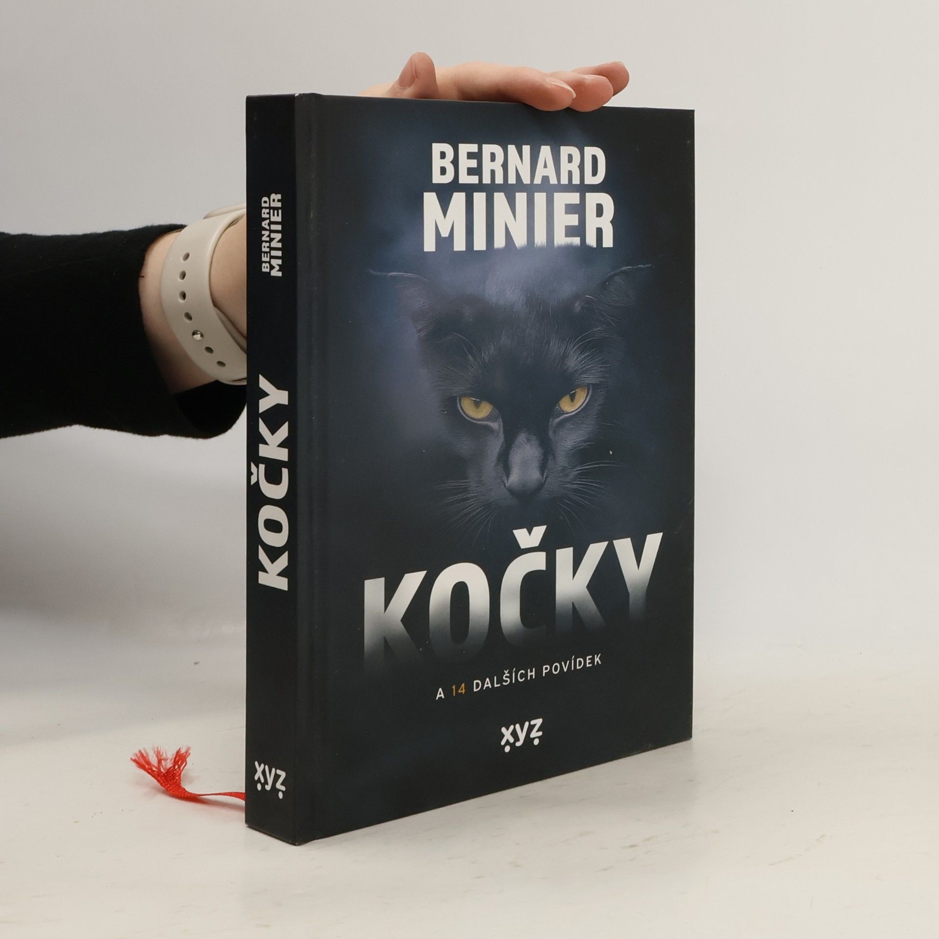 Kočky