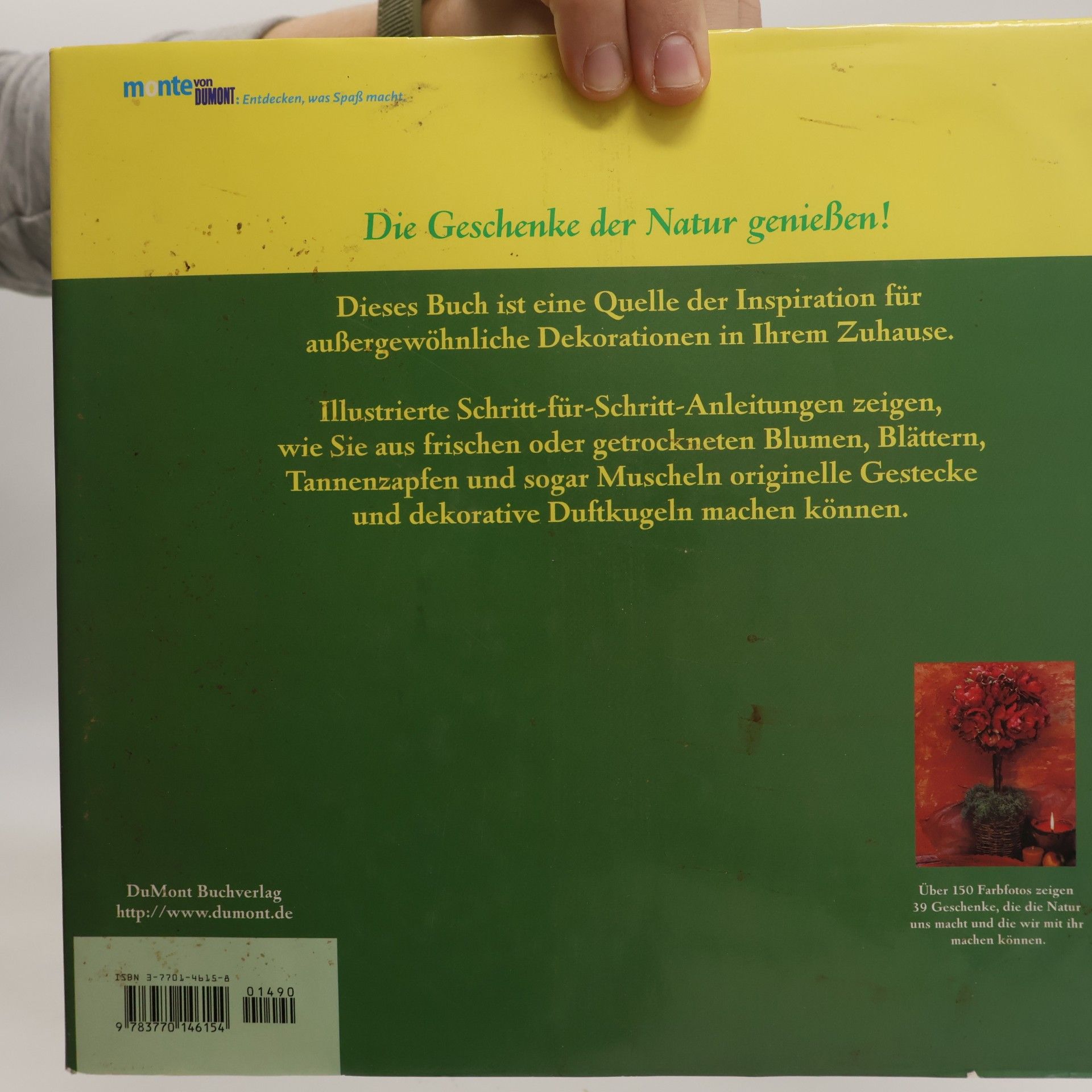 Jollands Beverley Geschenke der Natur - Dekorationen und Gestecke