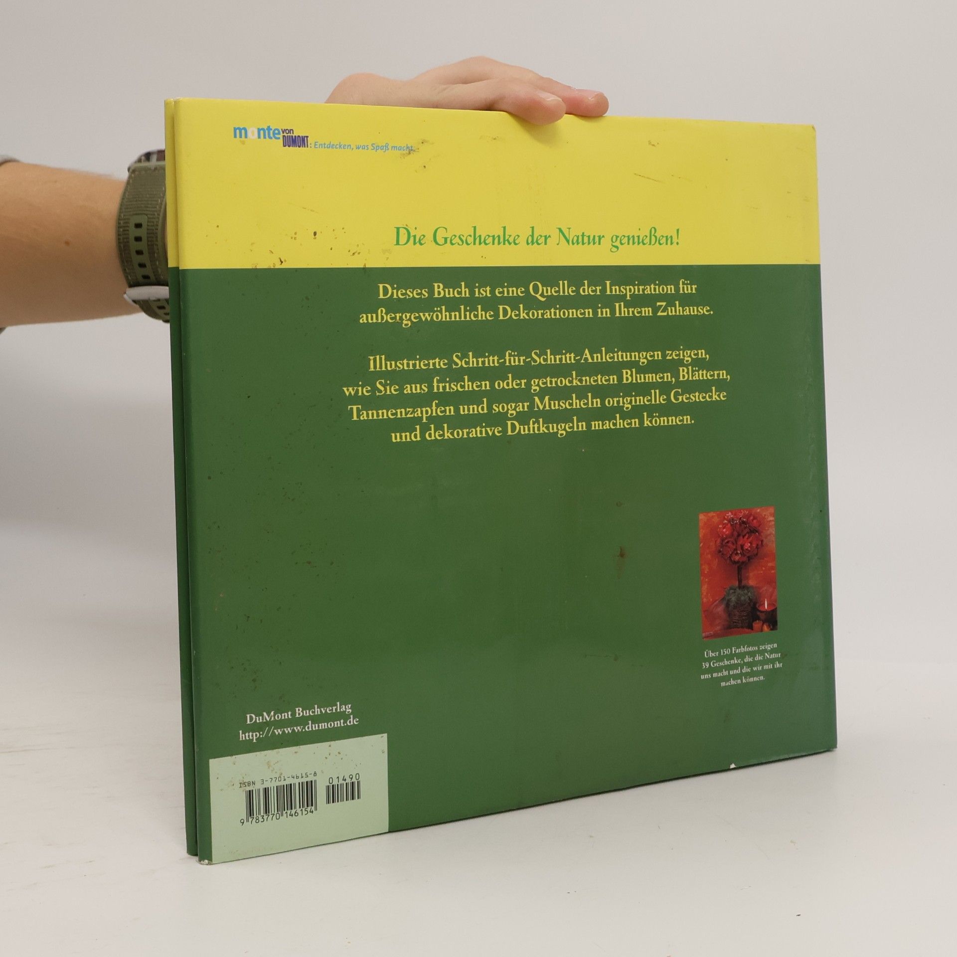 Jollands Beverley Geschenke der Natur - Dekorationen und Gestecke