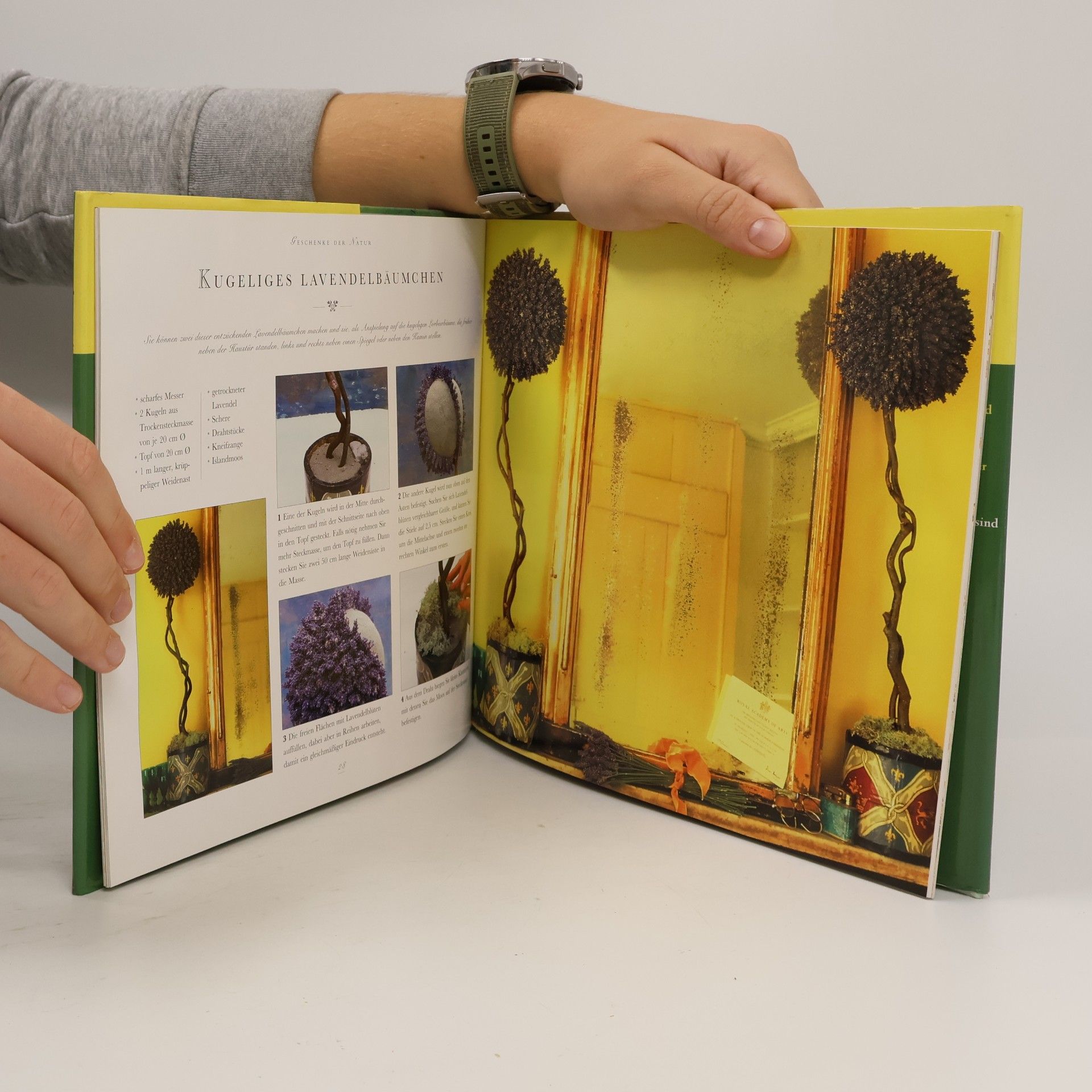 Jollands Beverley Geschenke der Natur - Dekorationen und Gestecke