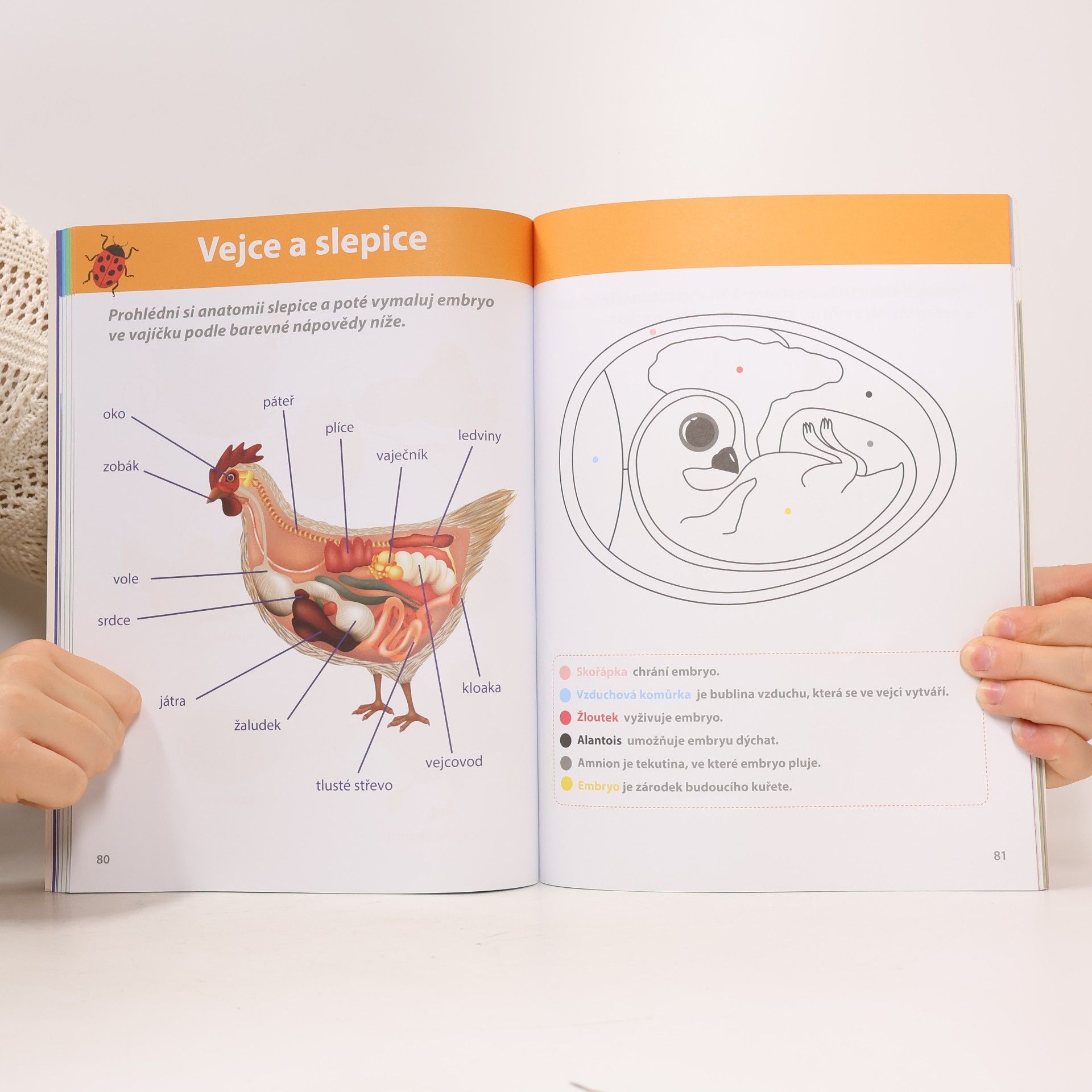 Adéla Poláková Můj velký sešit Montessori. Objevuj přírodu Montessori - objevuj přírodu Objevuj přírodu