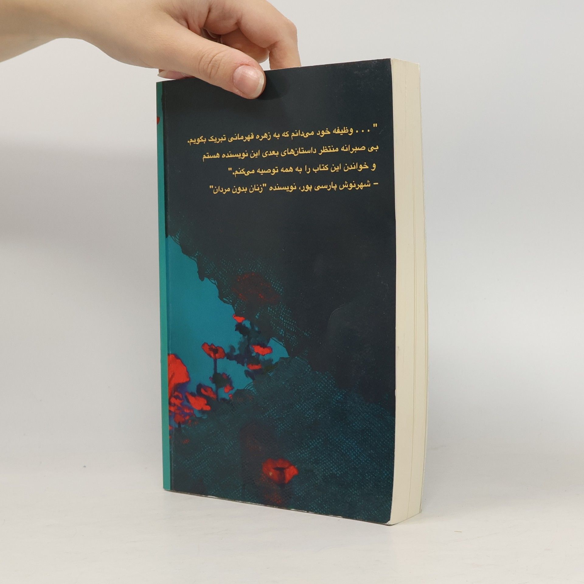 زهره قهرمانی یک آسمان شقایق سرخ