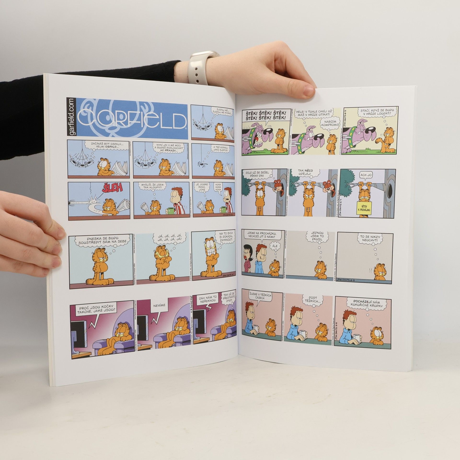 Jim Davis Garfield Garfield dostává do tlamy (č. 62)