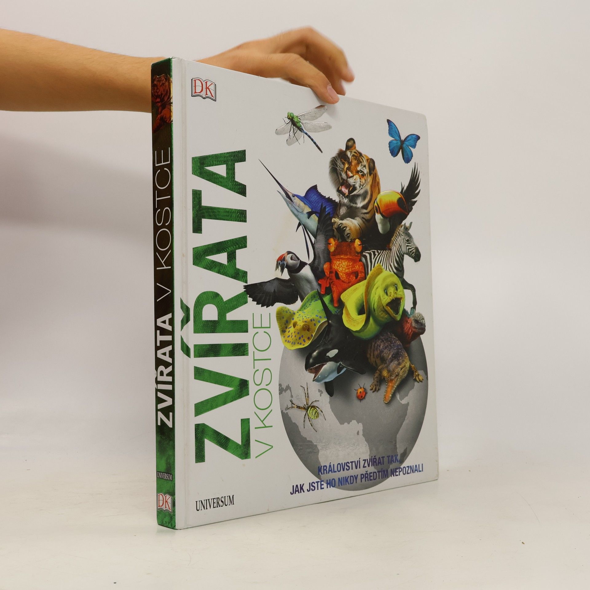 AA.VV. Zvířata v kostce