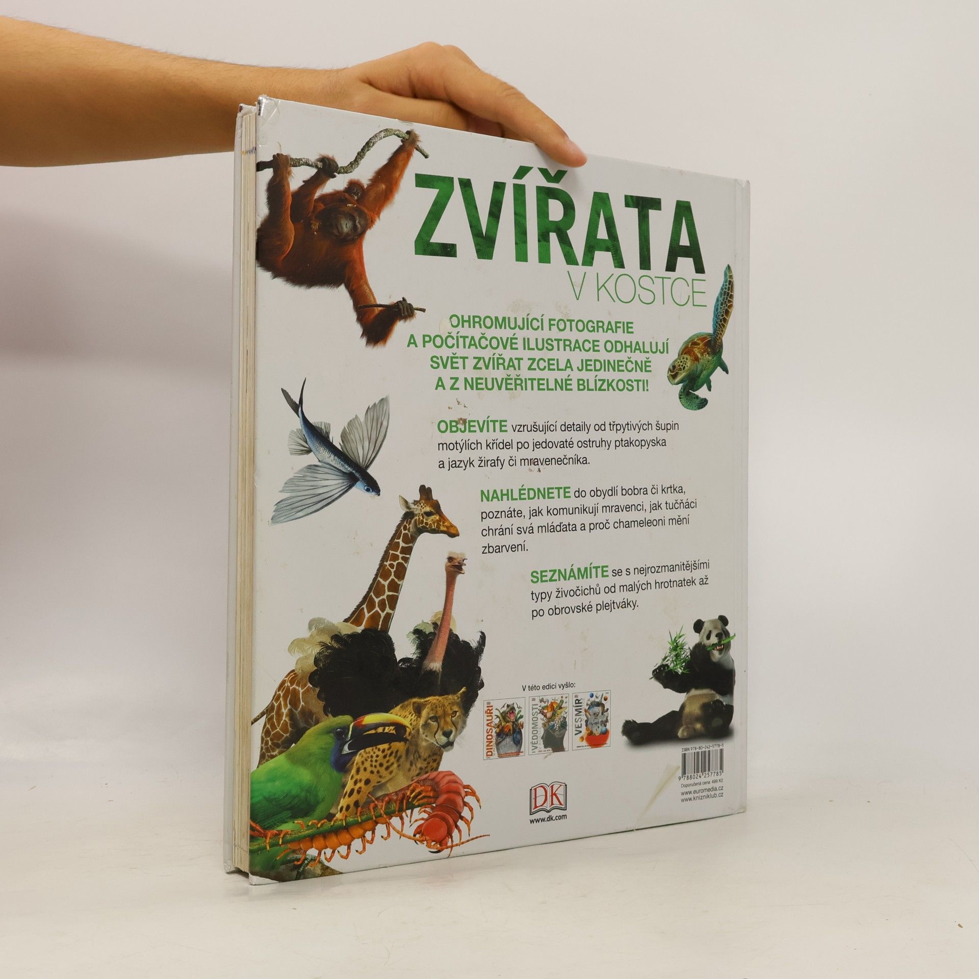 AA.VV. Zvířata v kostce