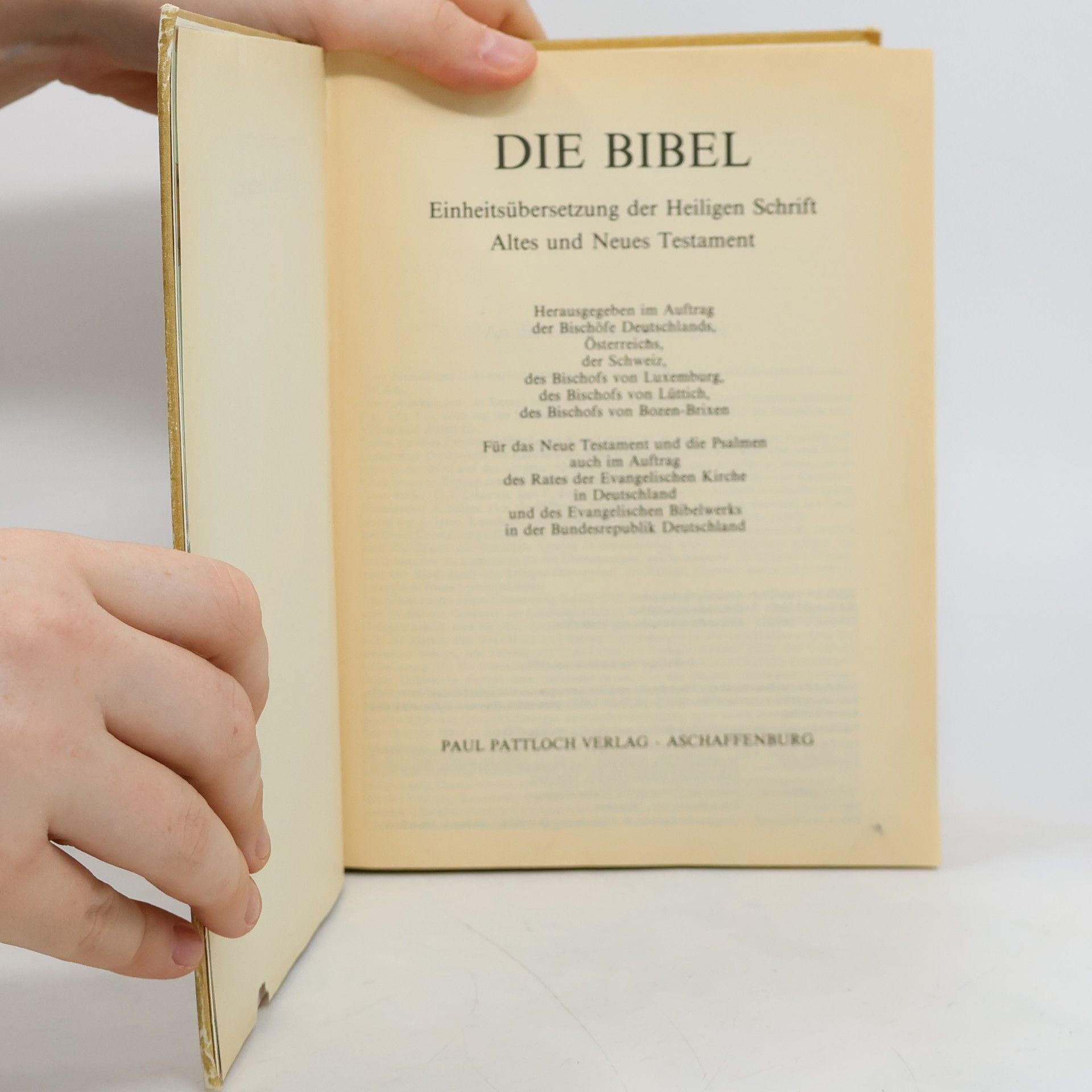 Kolektiv autorů Die Bibel