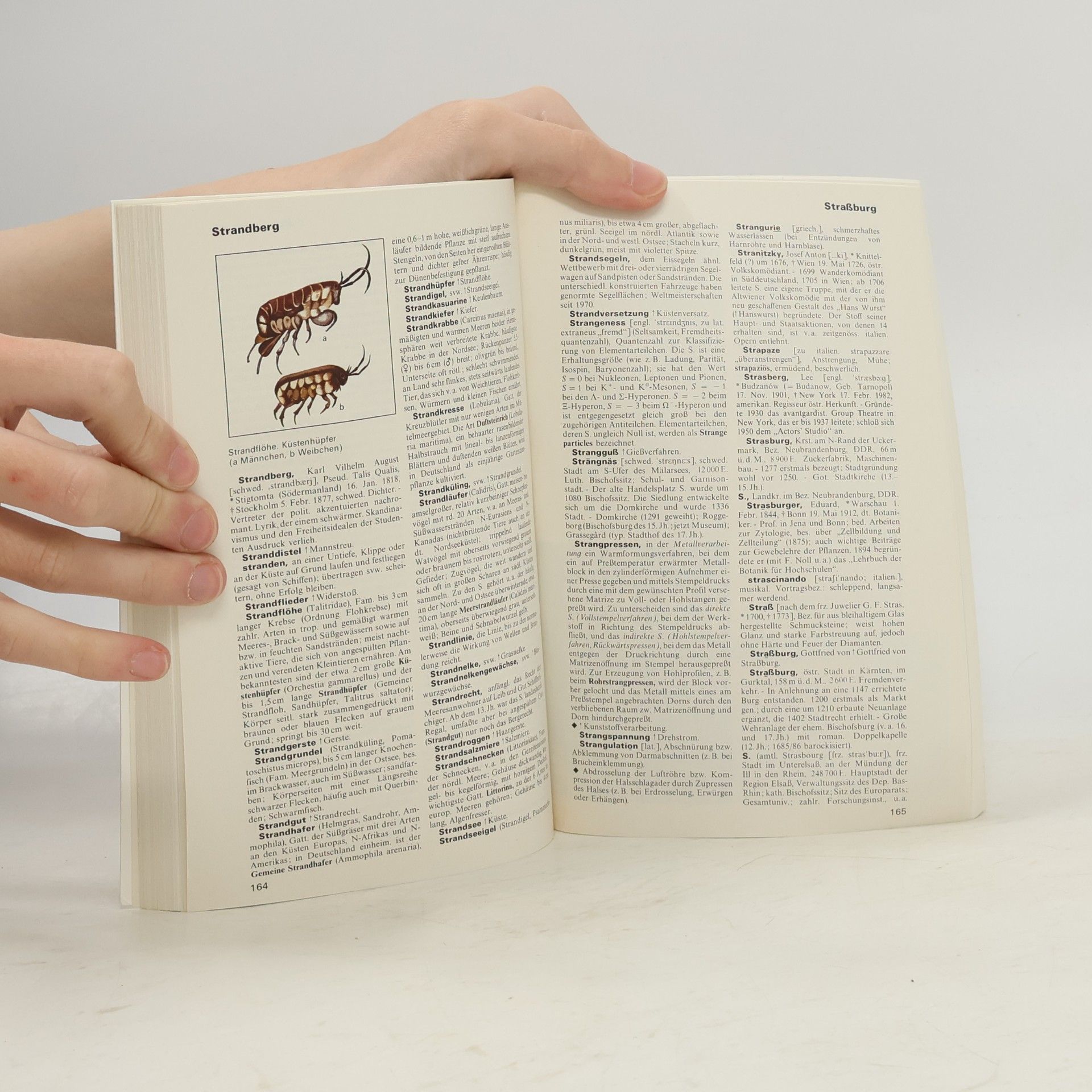 Werner Digel Meyers grosses Taschen-Lexikon