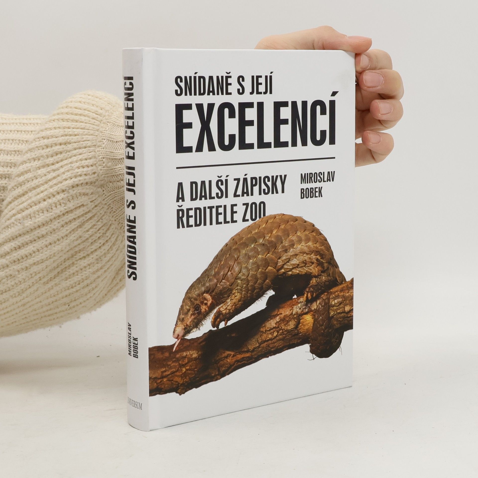 Miroslav Bobek Snídaně s její excelencí