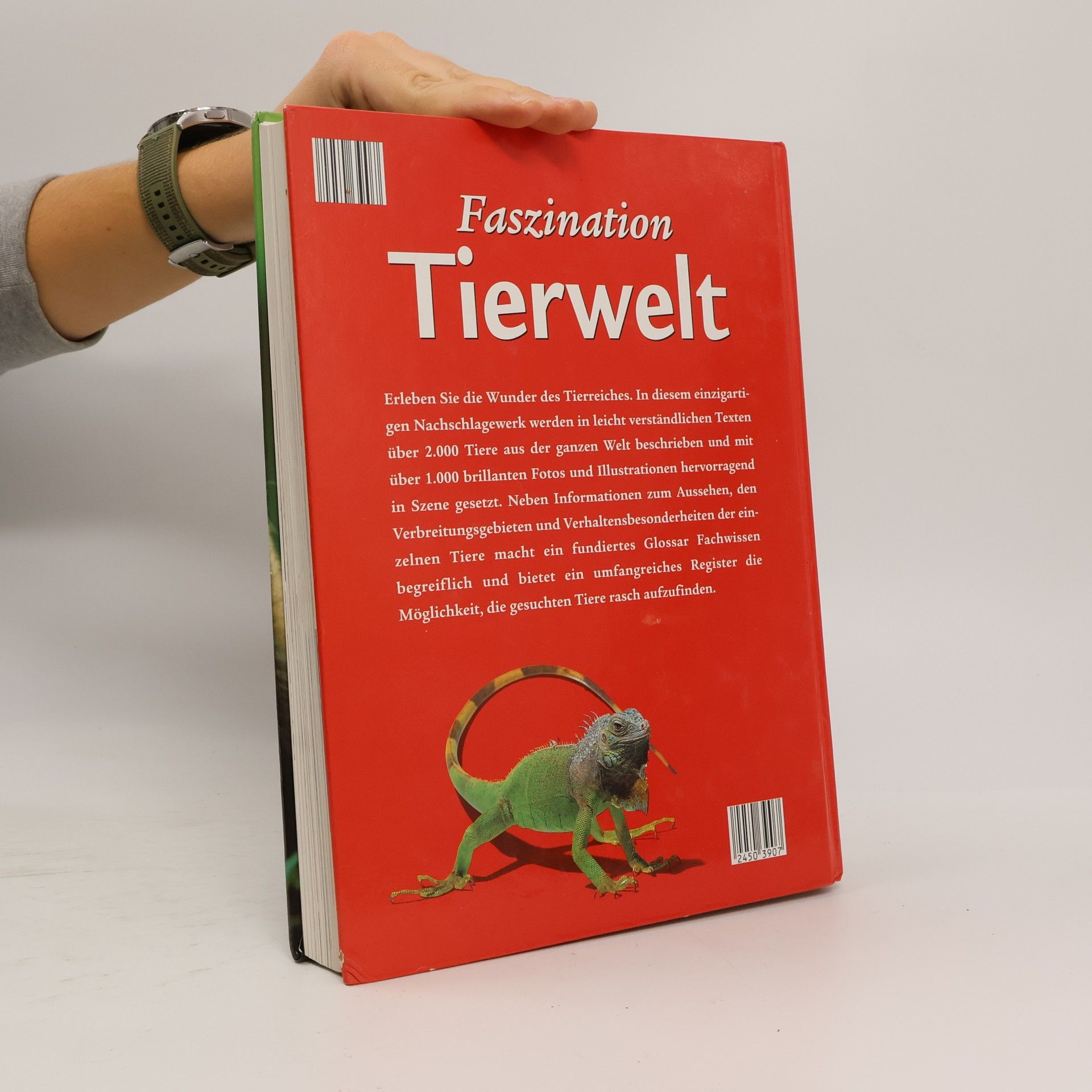 Autores varios Faszination Tierwelt