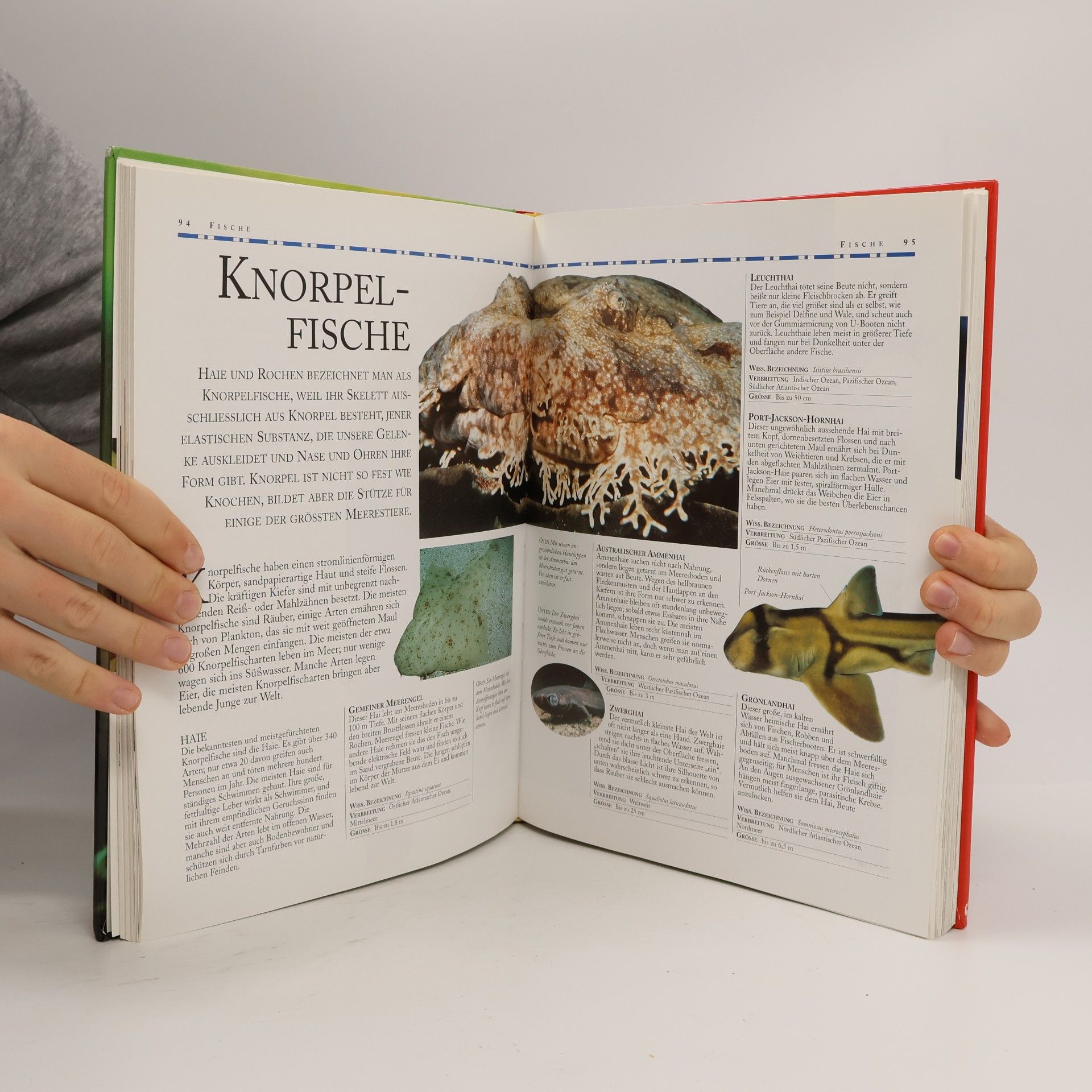Autores varios Faszination Tierwelt