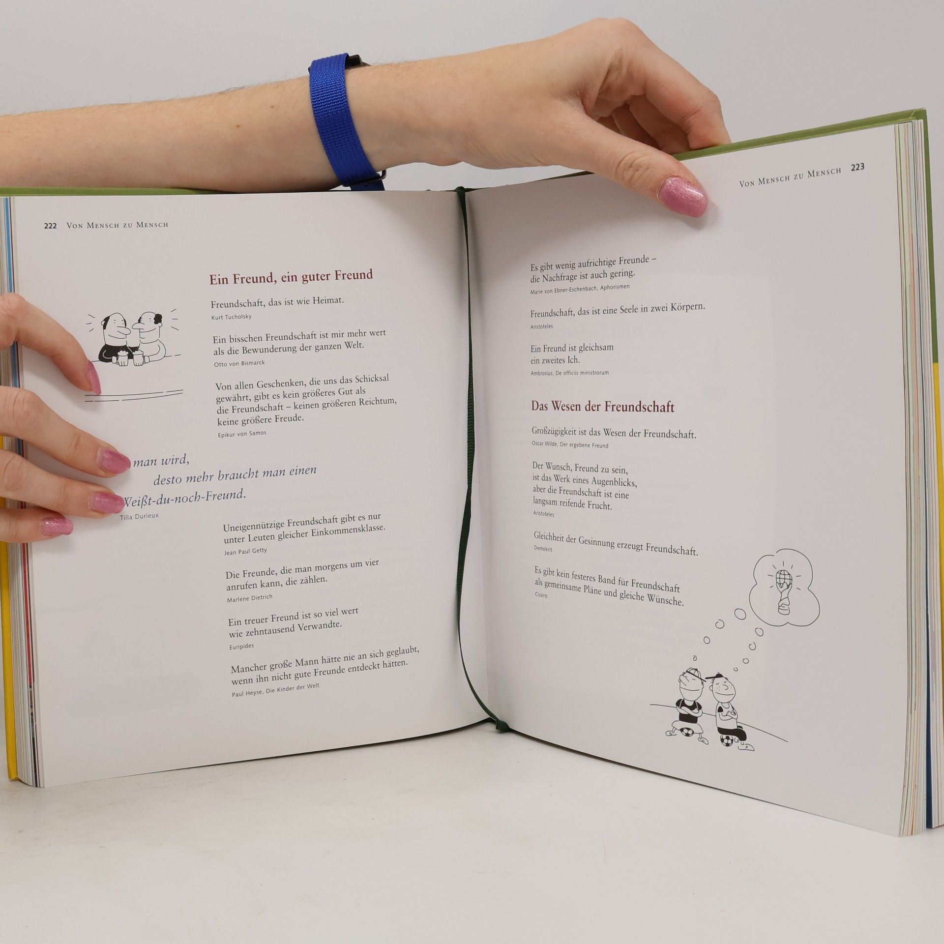 Kolektív autorov Das große Buch der Lebensweisheiten 2008