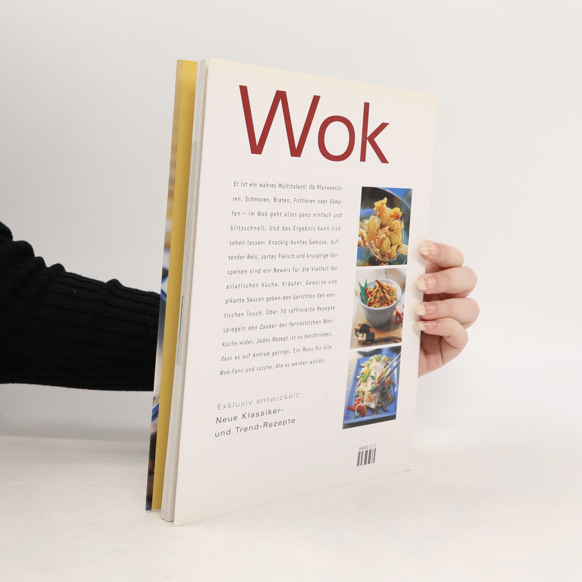 Various authors Wok