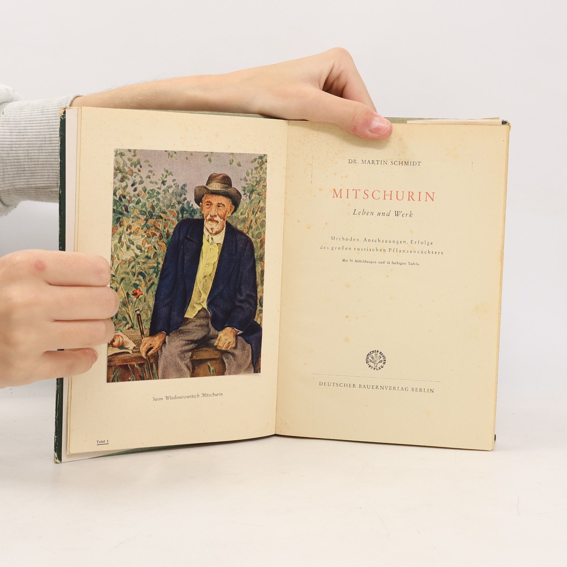 Prof. Dr. Martin Schmidt-Kessel Mitschurin