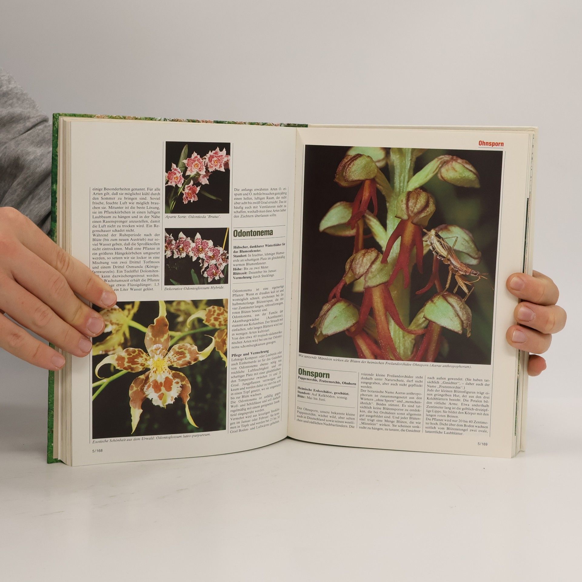 Autores varios Blumen & Garten 5