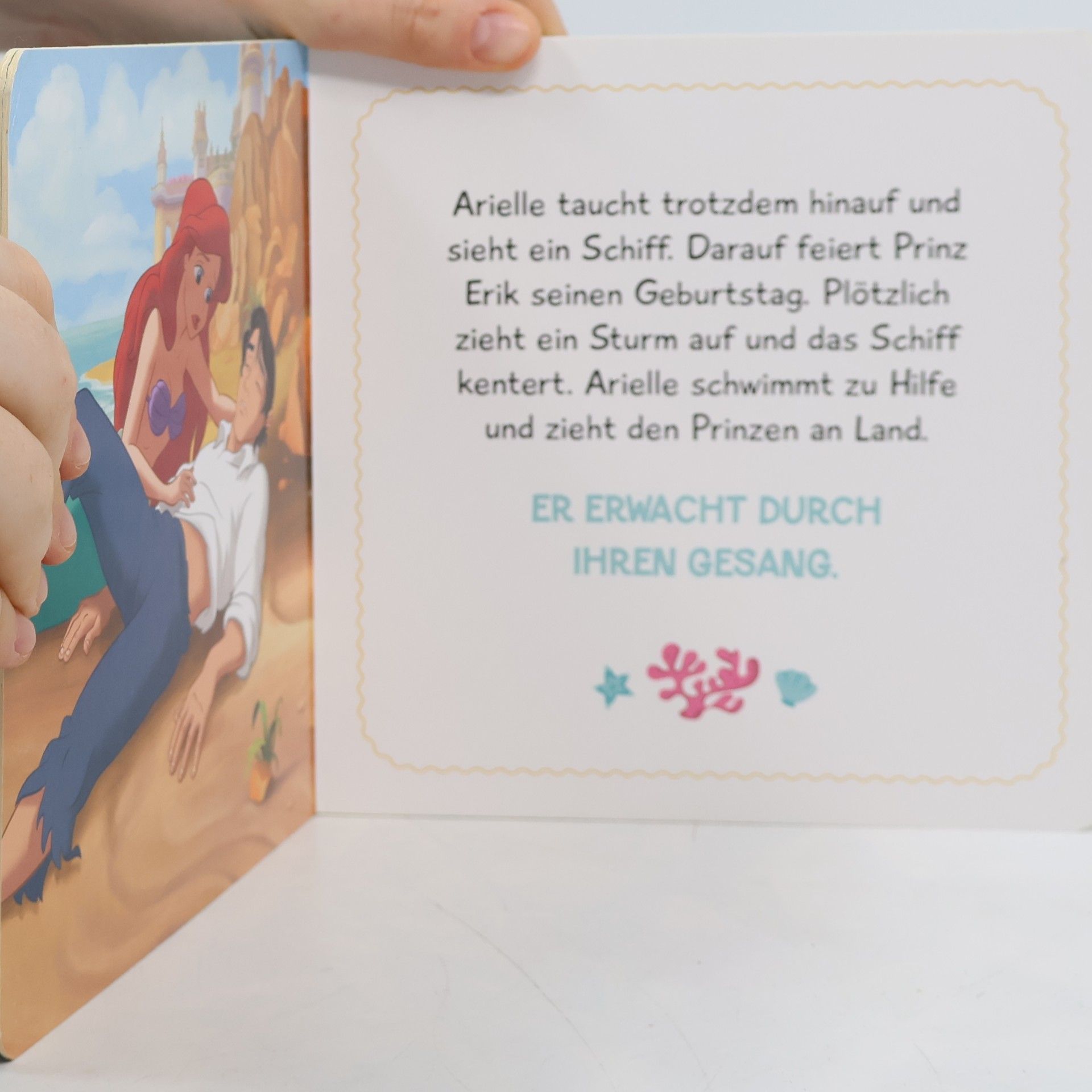 kolektiv Arielle die Meerjungfrau