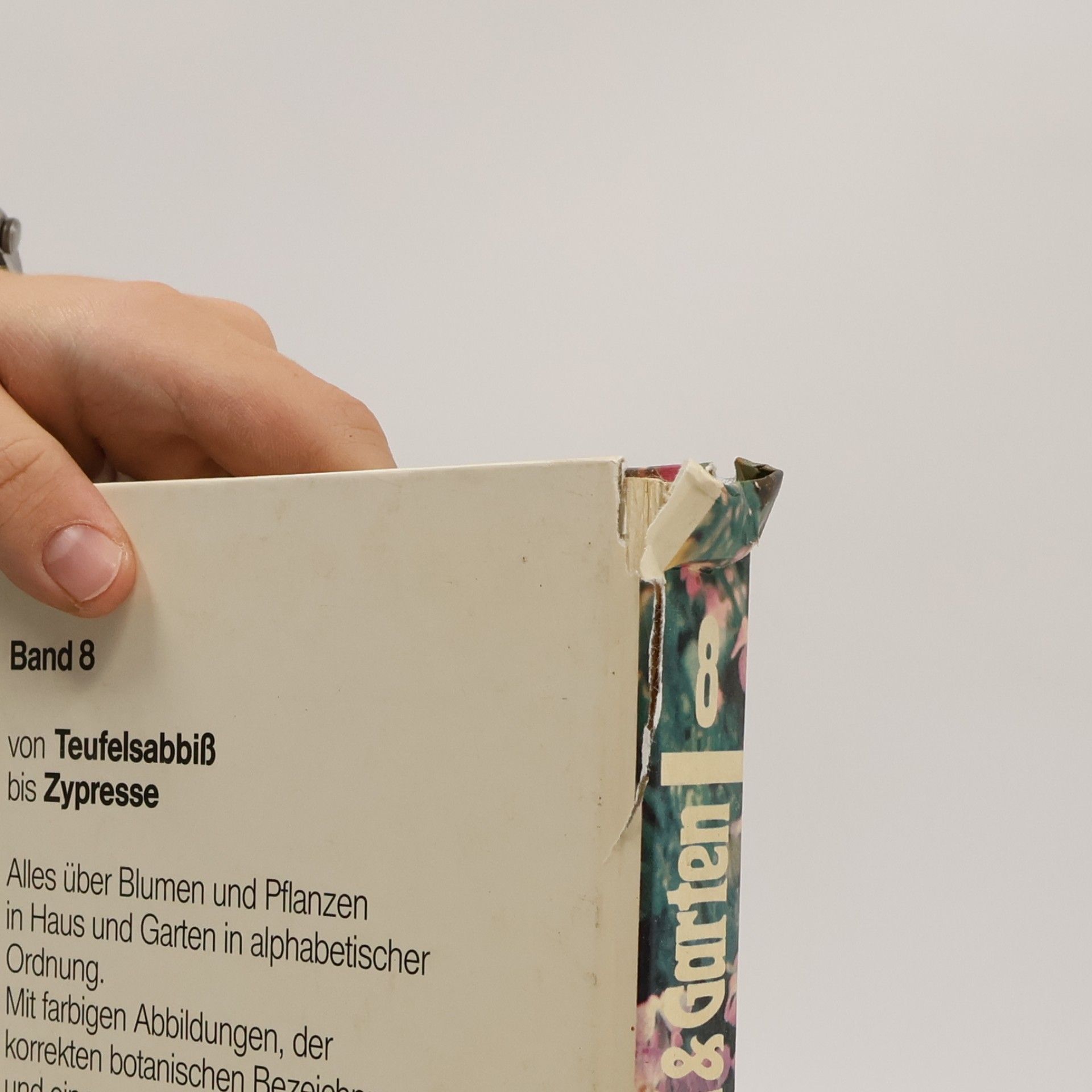 Autorenkollektiv Blumen & Garten 8. Das praktische Pflanzen-ABC